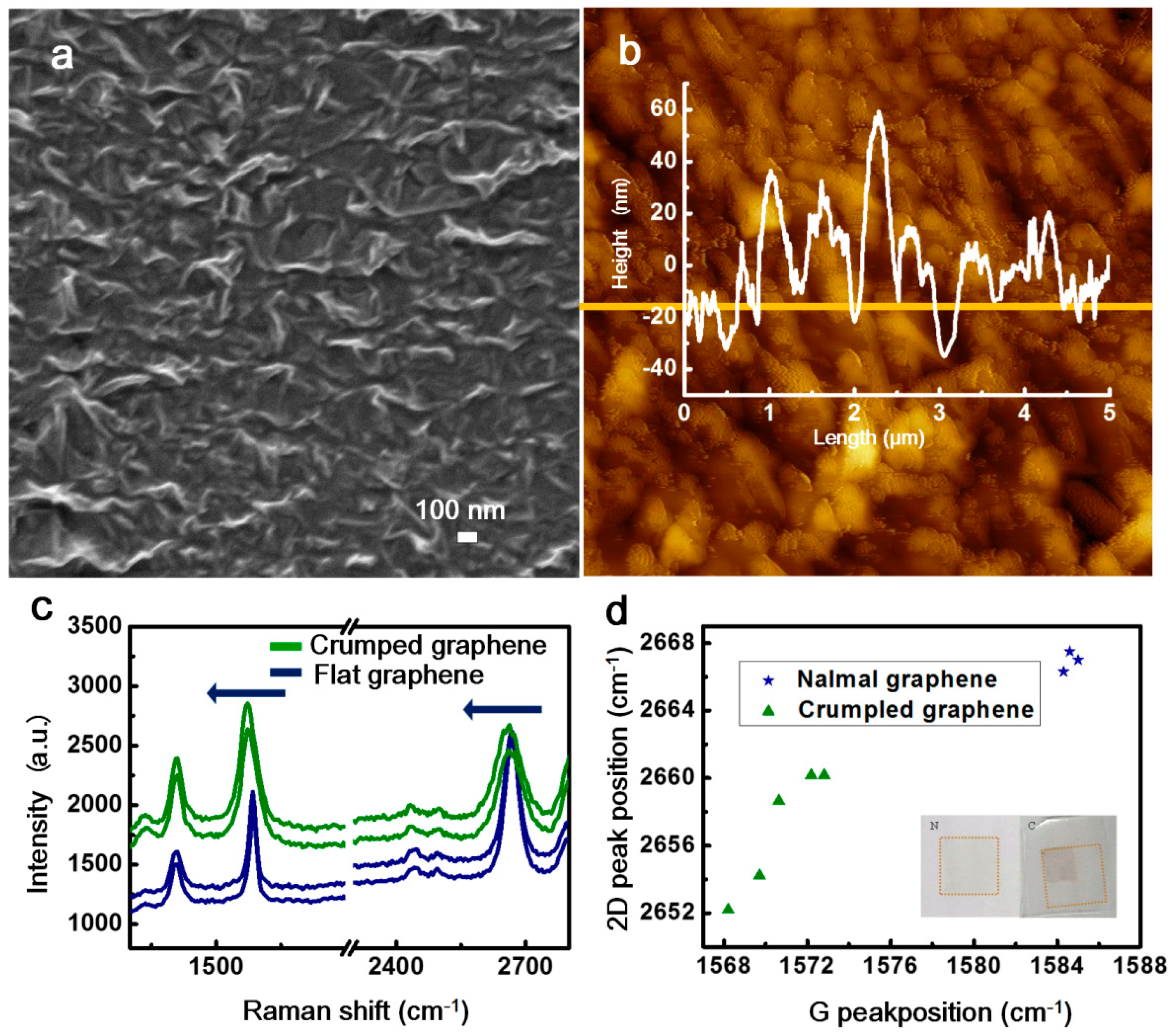 Proceedings 01 00292 g002
