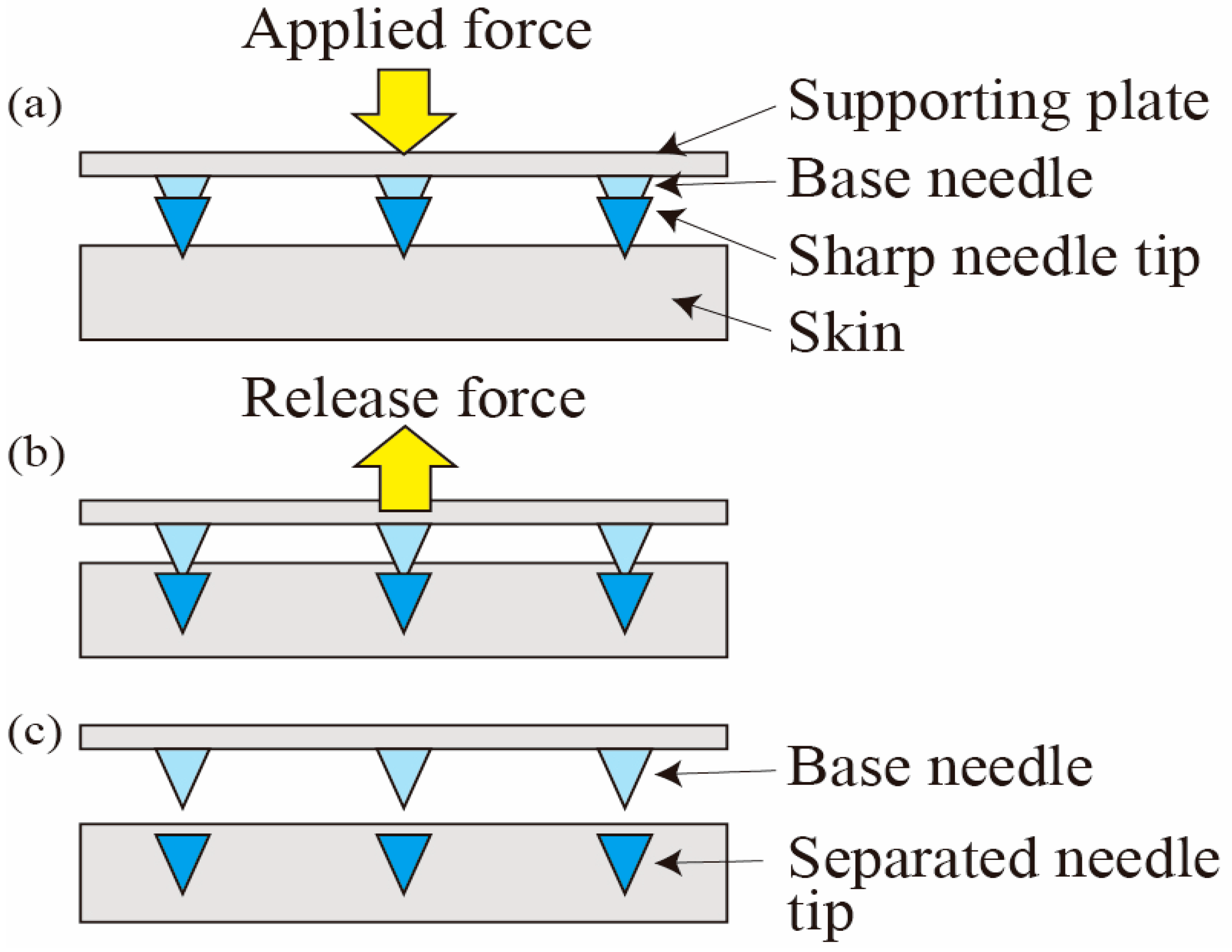 Proceedings 01 00304 g002