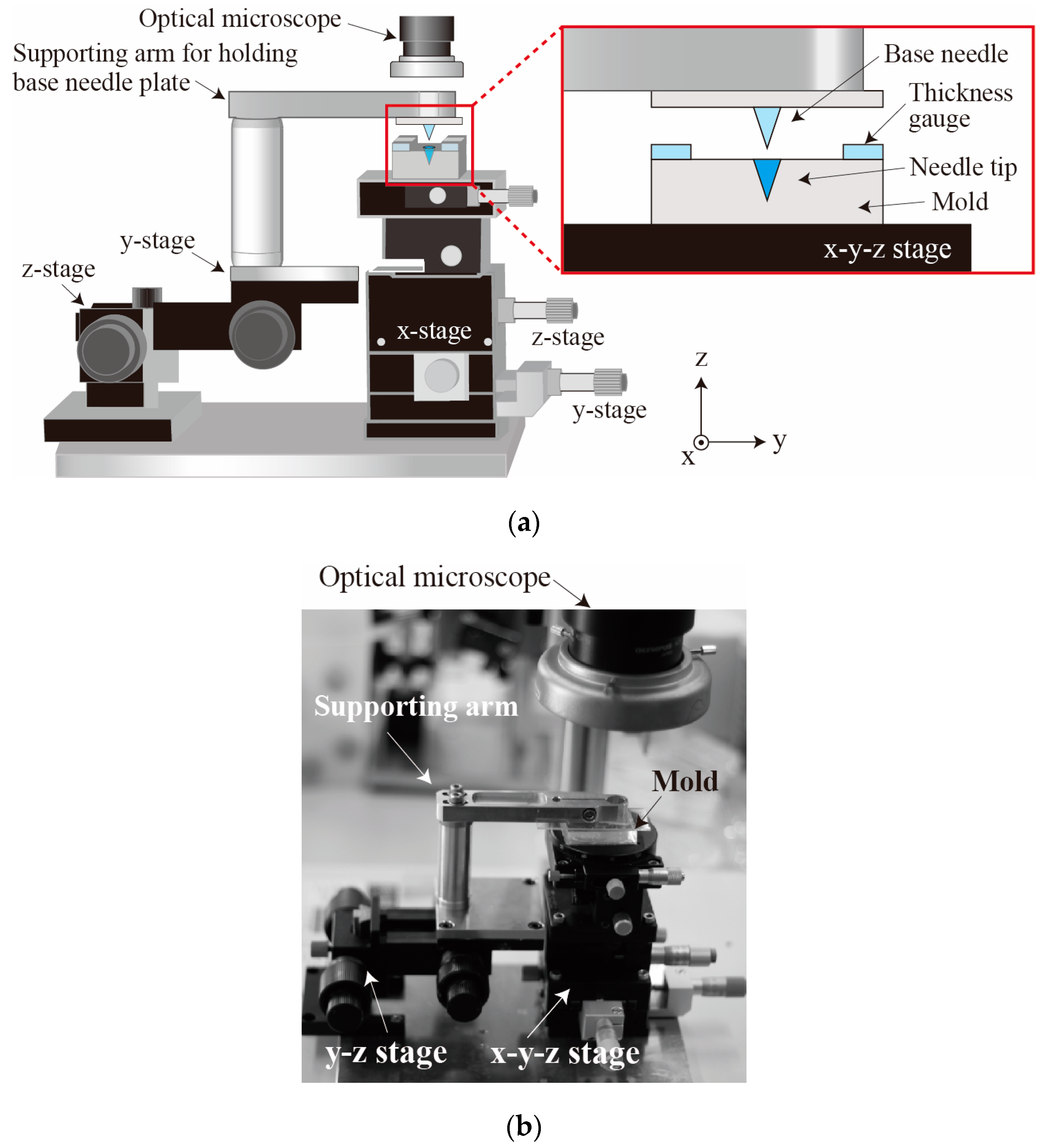 Proceedings 01 00304 g003