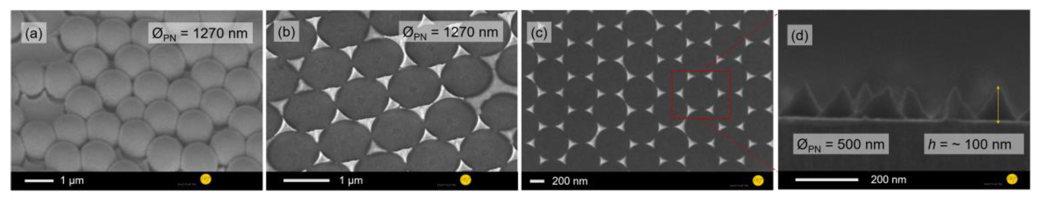 Proceedings 01 00309 g003