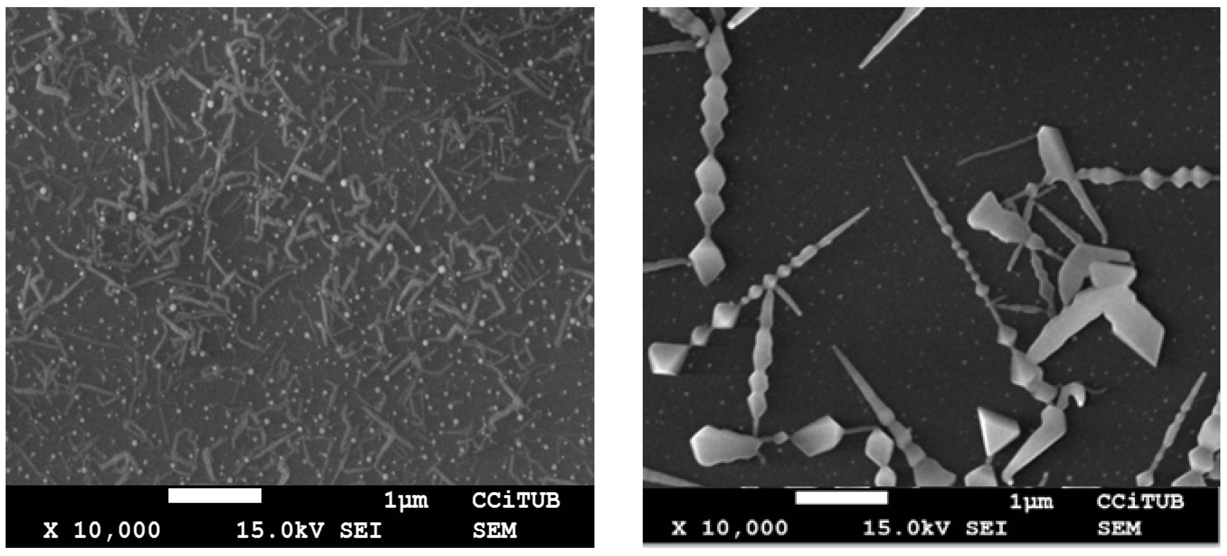 Proceedings 01 00321 g001