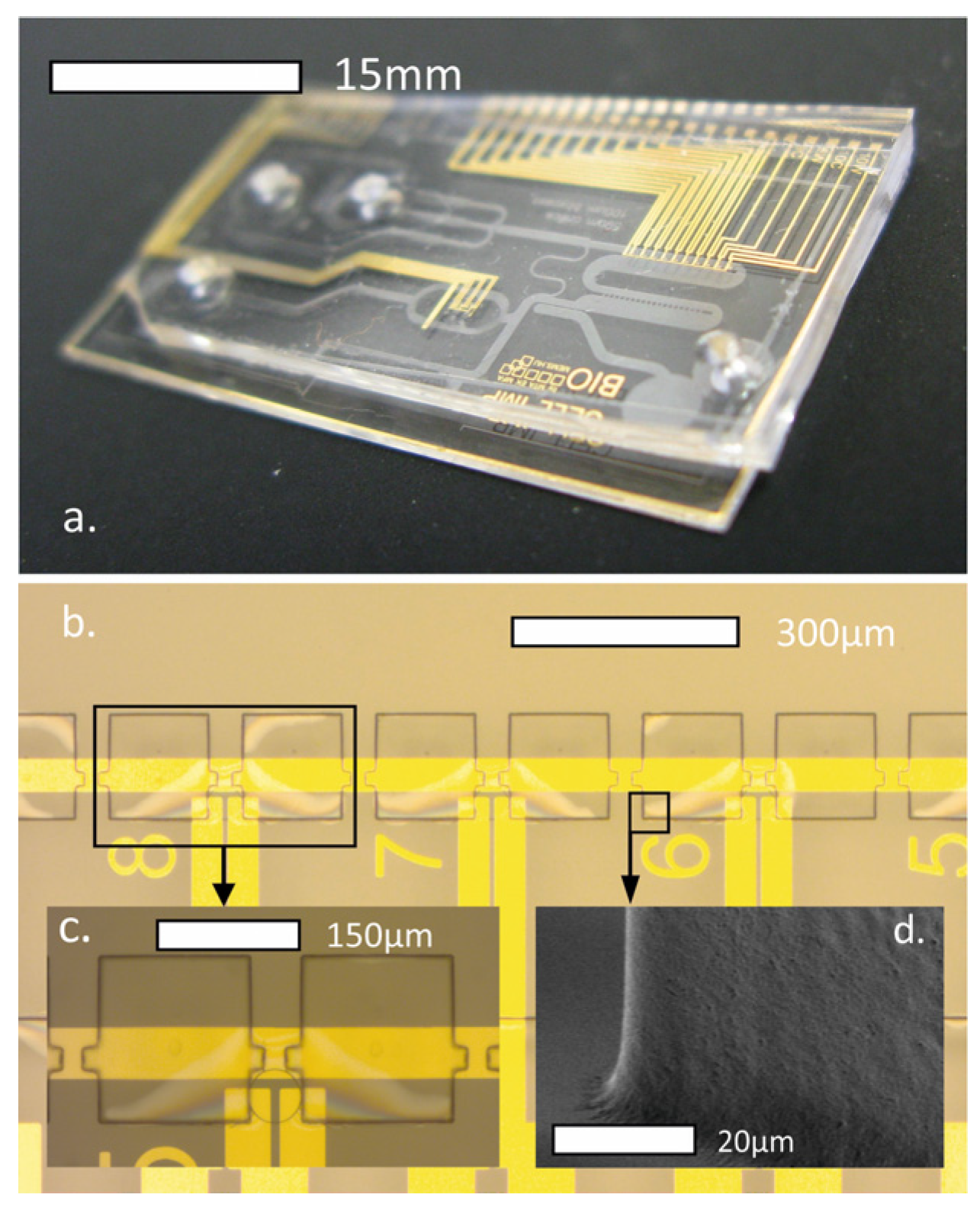 Proceedings 01 00326 g001