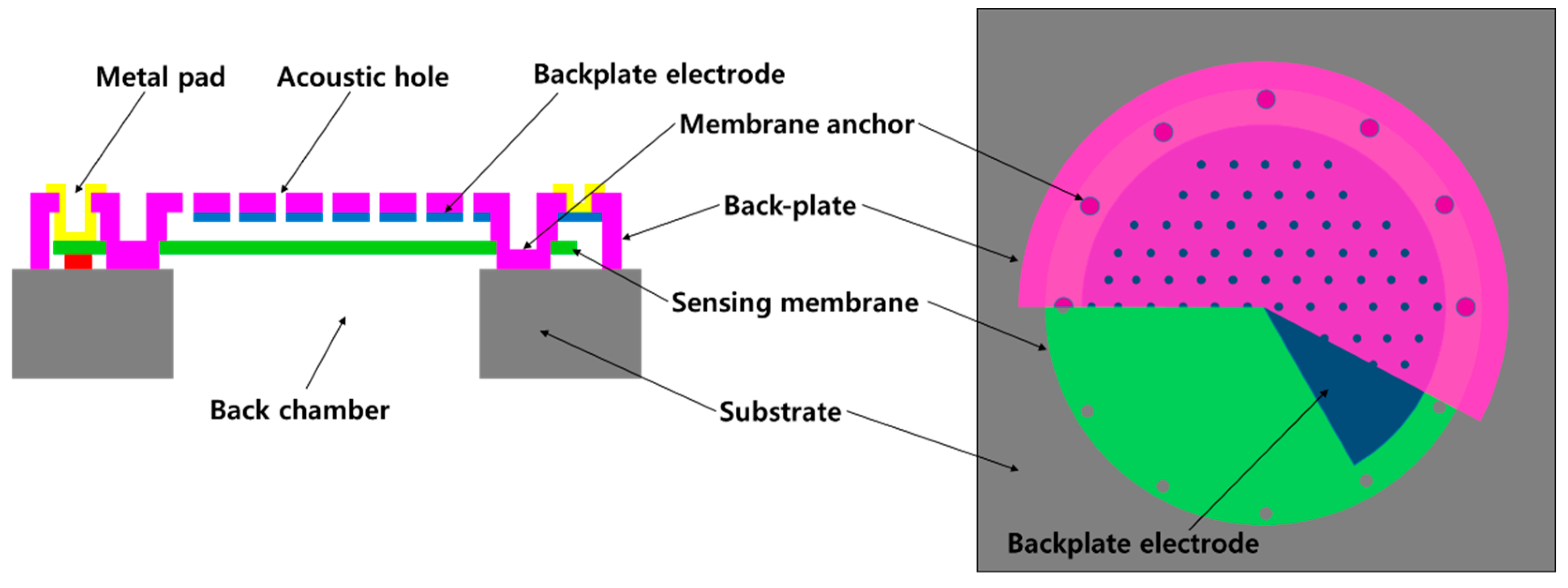 Proceedings 01 00342 g001