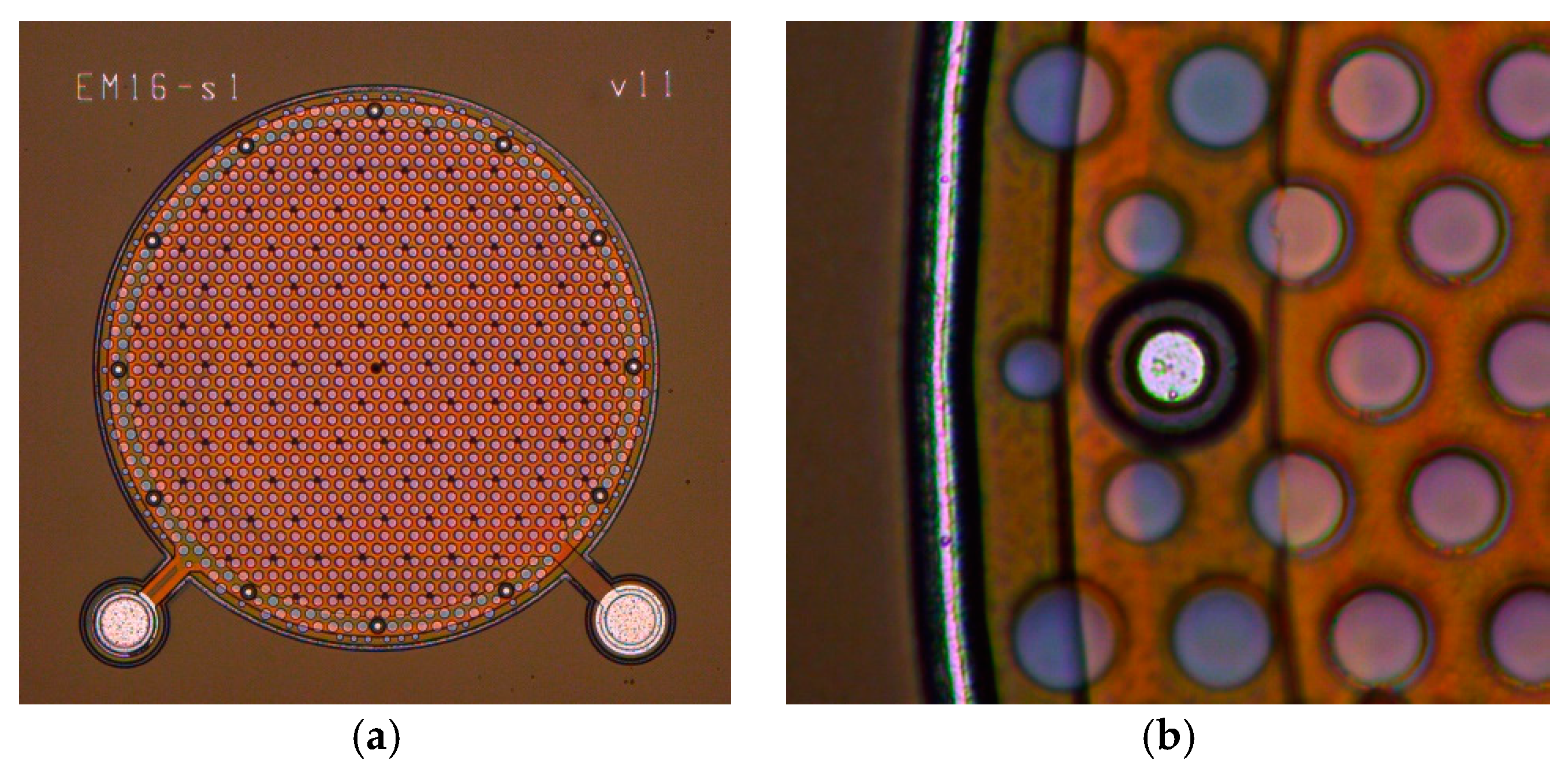 Proceedings 01 00342 g004