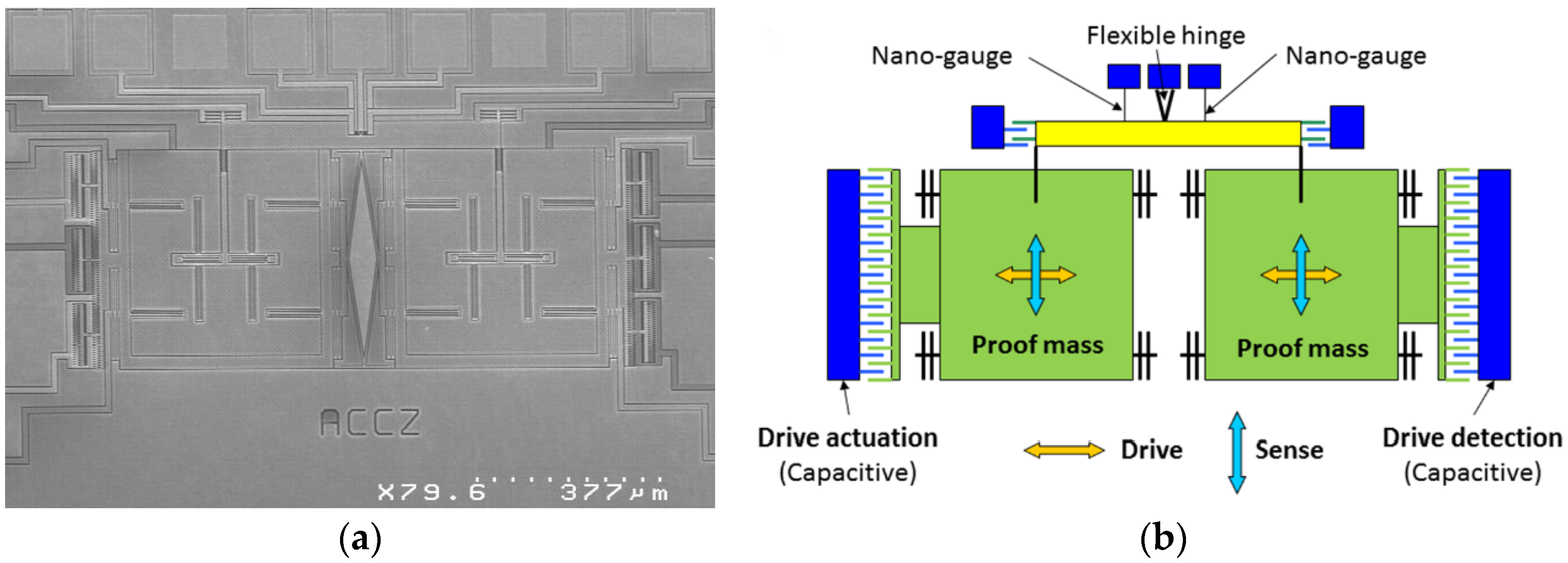 Proceedings 01 00355 g001