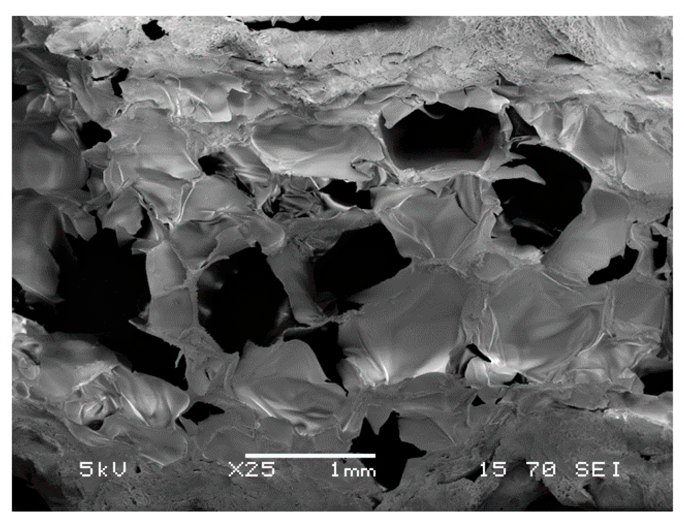 Proceedings 01 00360 g003