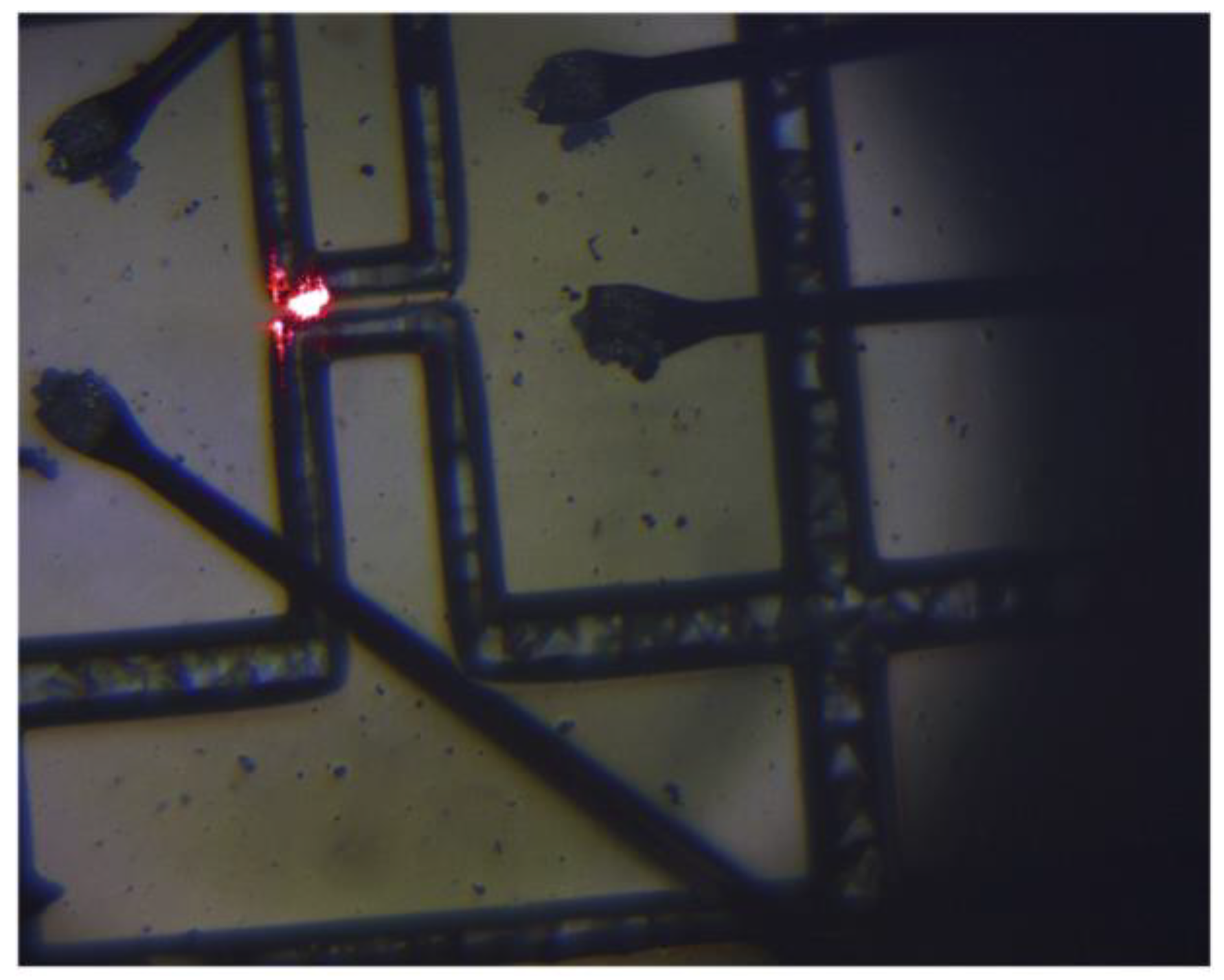 Proceedings 01 00365 g002