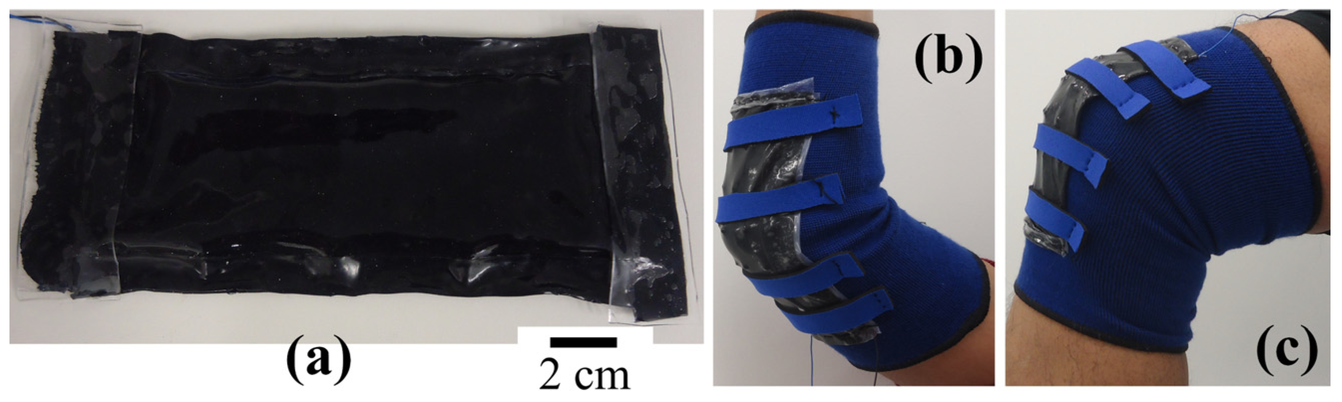 Proceedings 01 00387 g002