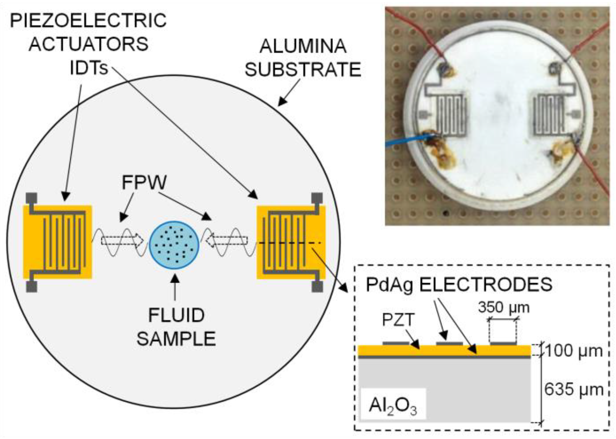 Proceedings 01 00392 g001