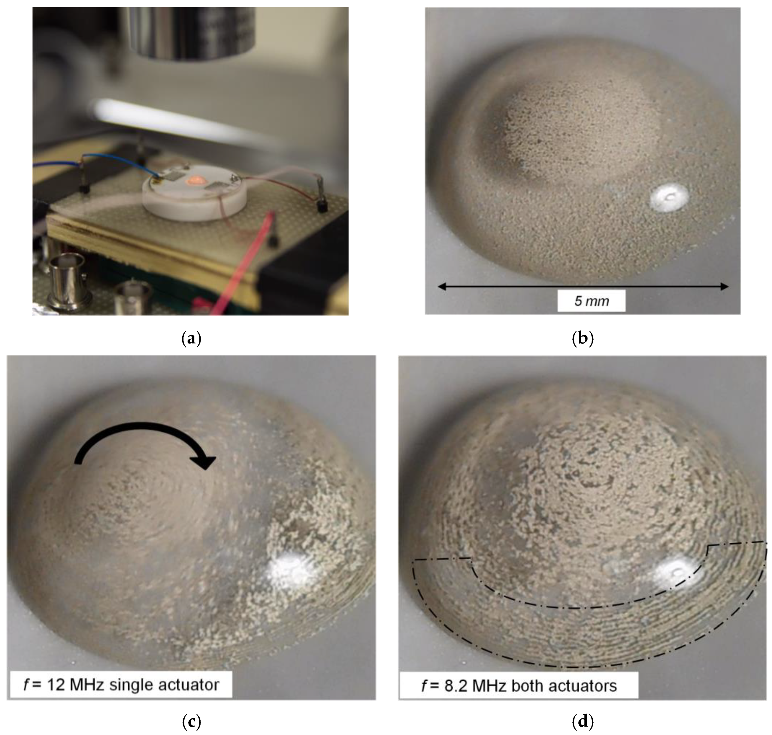 Proceedings 01 00392 g003