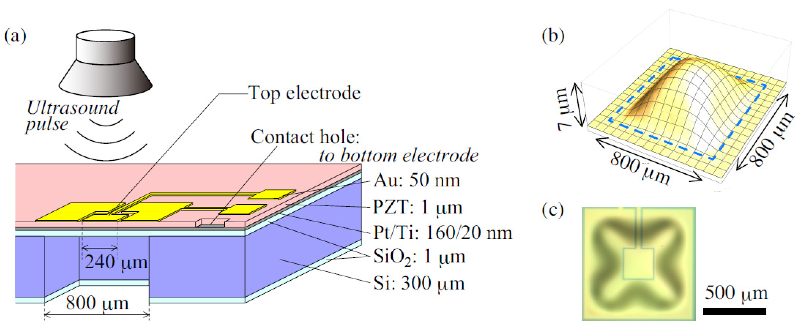 Proceedings 01 00394 g001