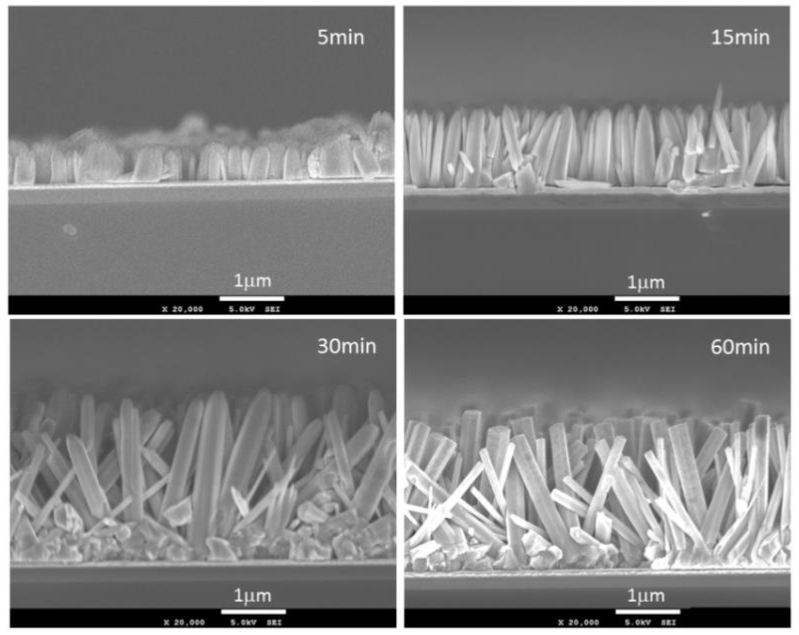 Proceedings 01 00397 g001