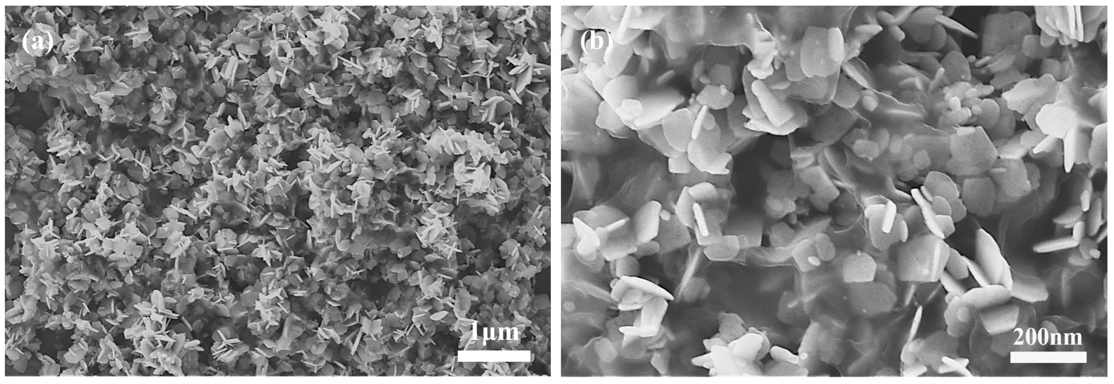 Proceedings 01 00411 g001