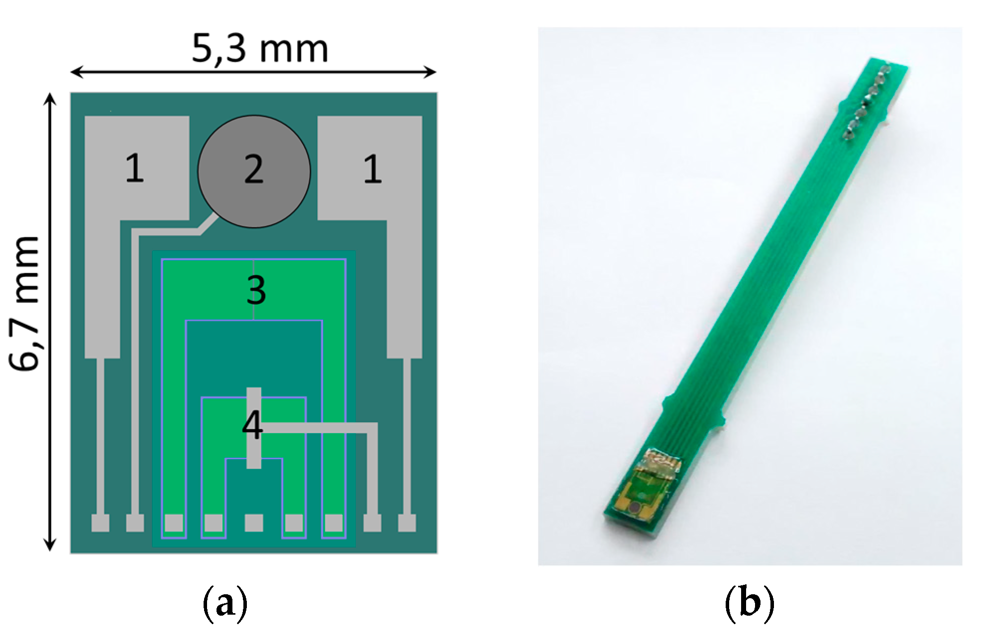 Proceedings 01 00420 g001