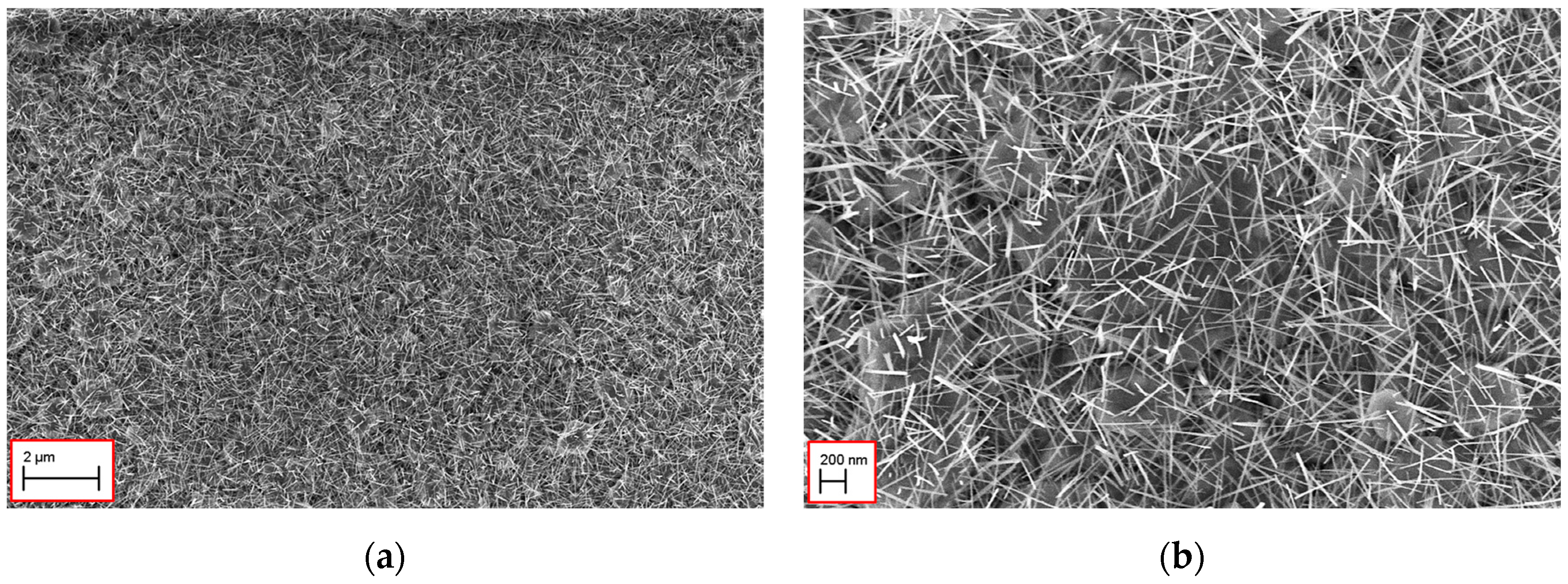 Proceedings 01 00434 g001