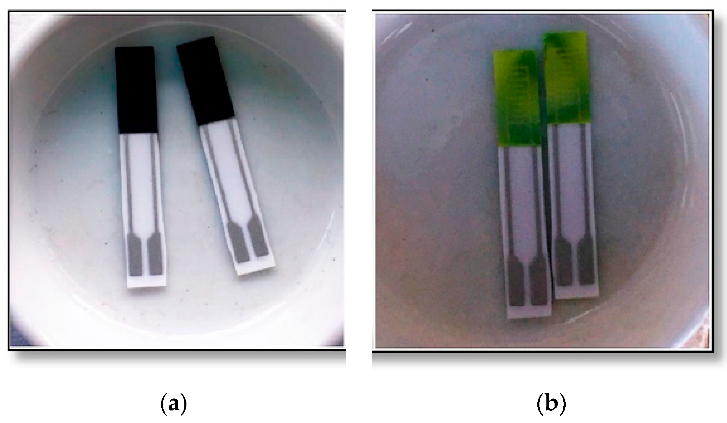 Proceedings 01 00438 g001