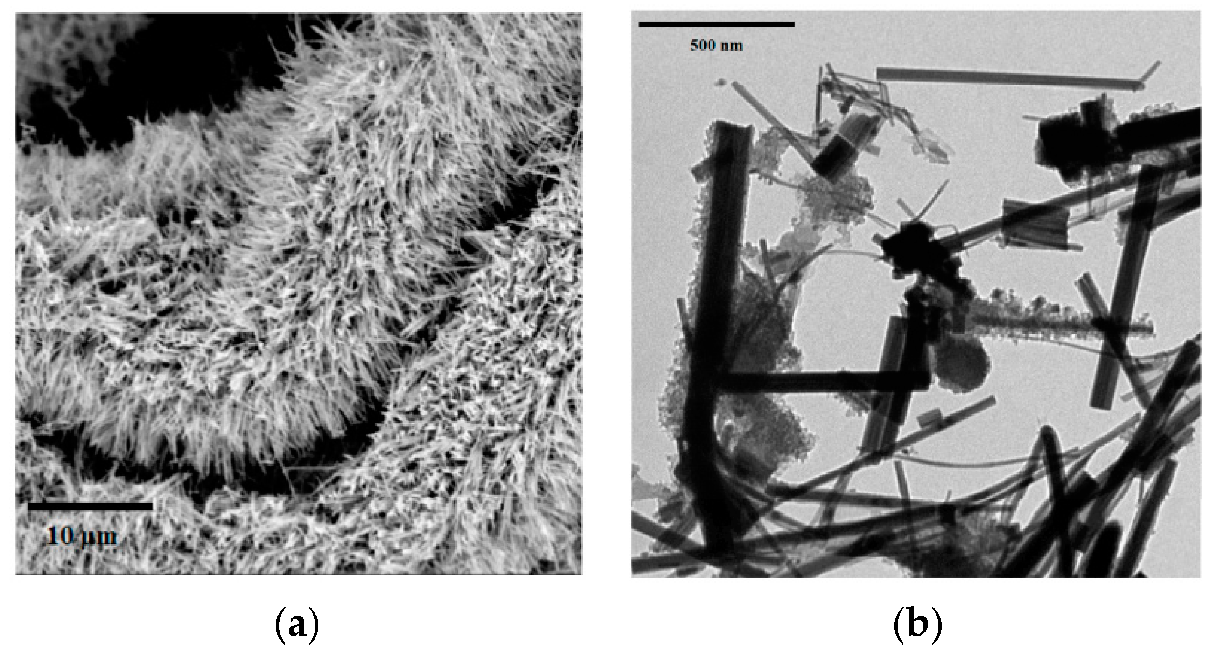 Proceedings 01 00438 g002