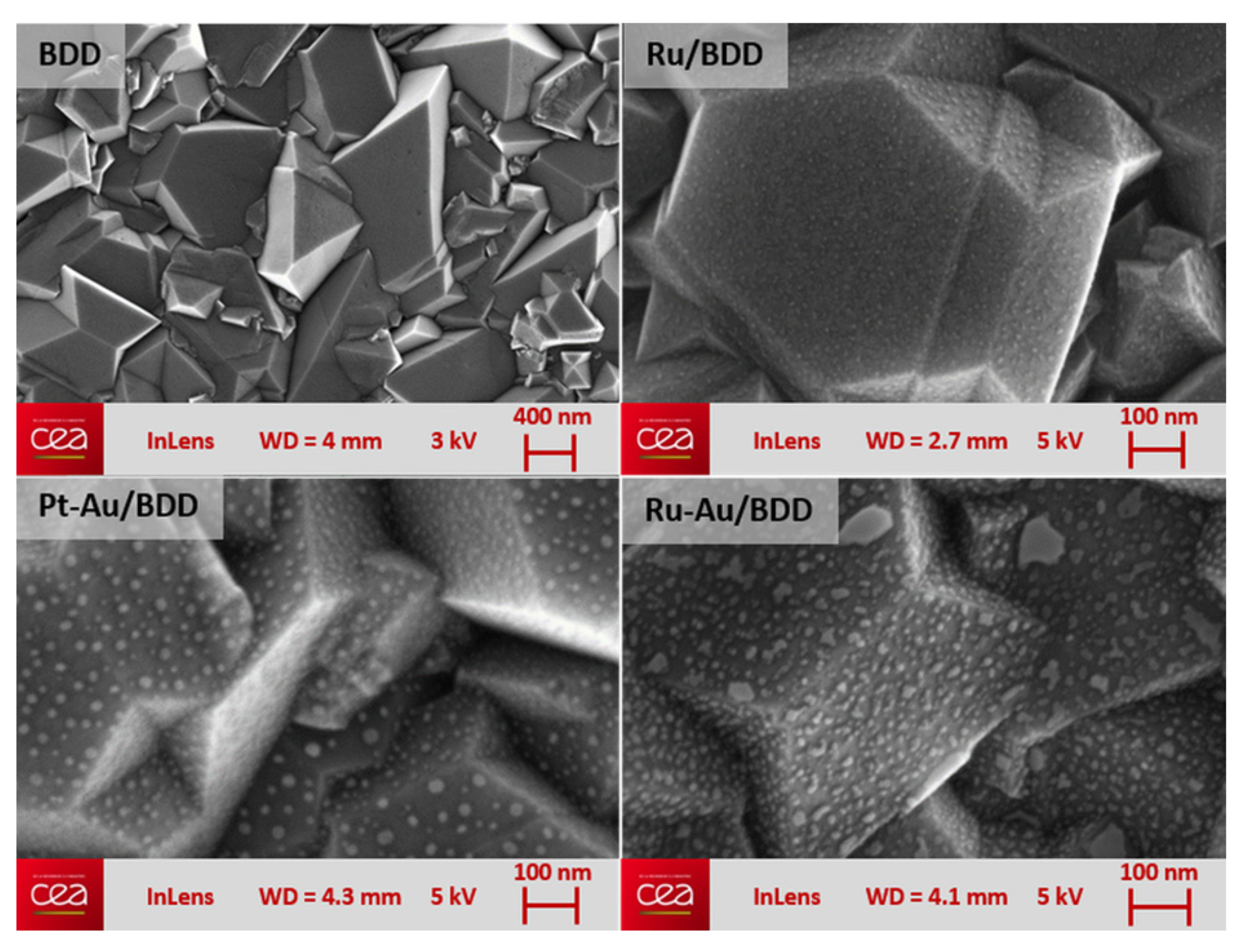 Proceedings 01 00452 g001