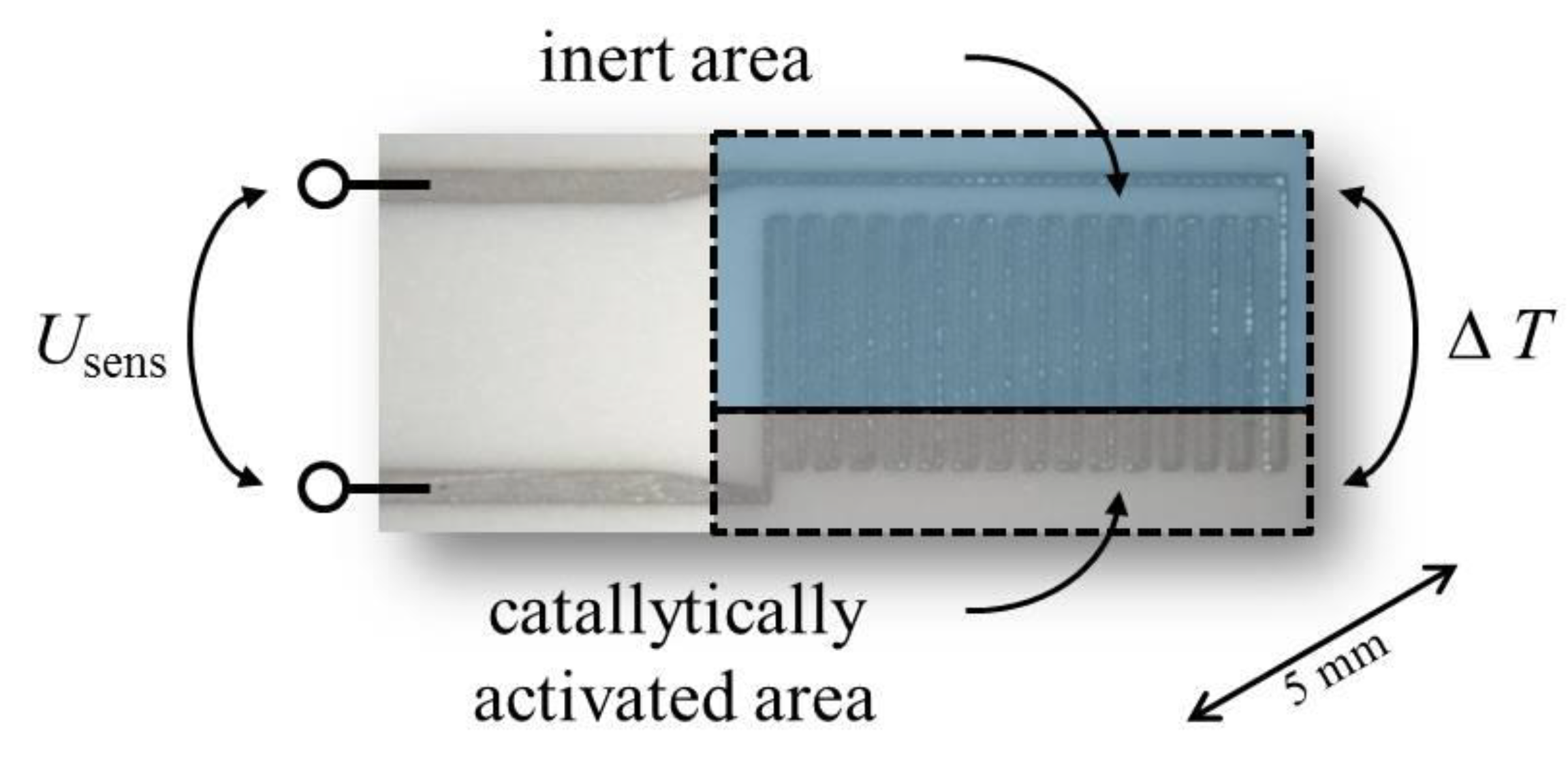 Proceedings 01 00457 g001