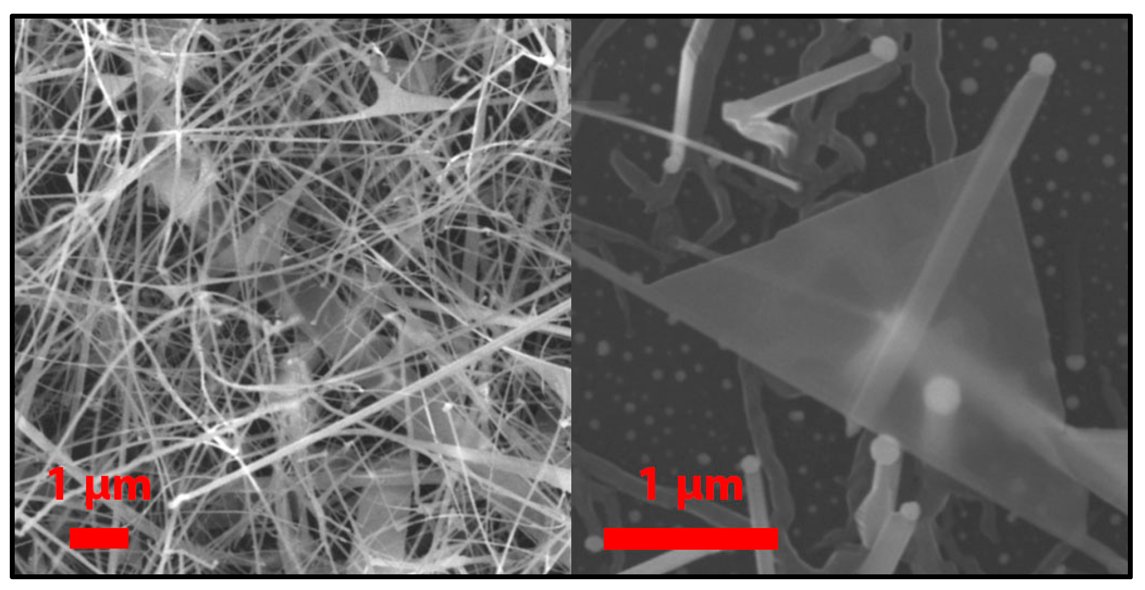 Proceedings 01 00468 g001