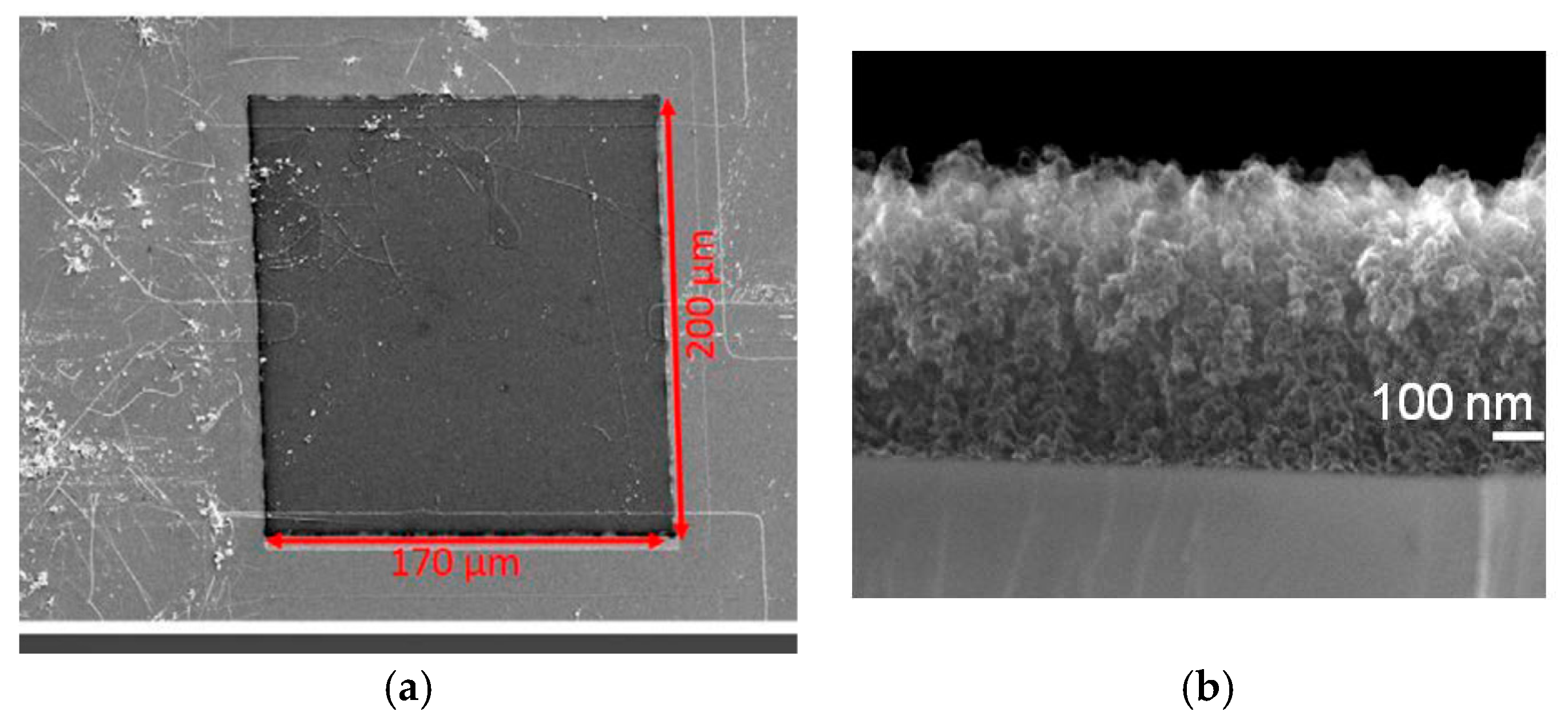Proceedings 01 00478 g005a