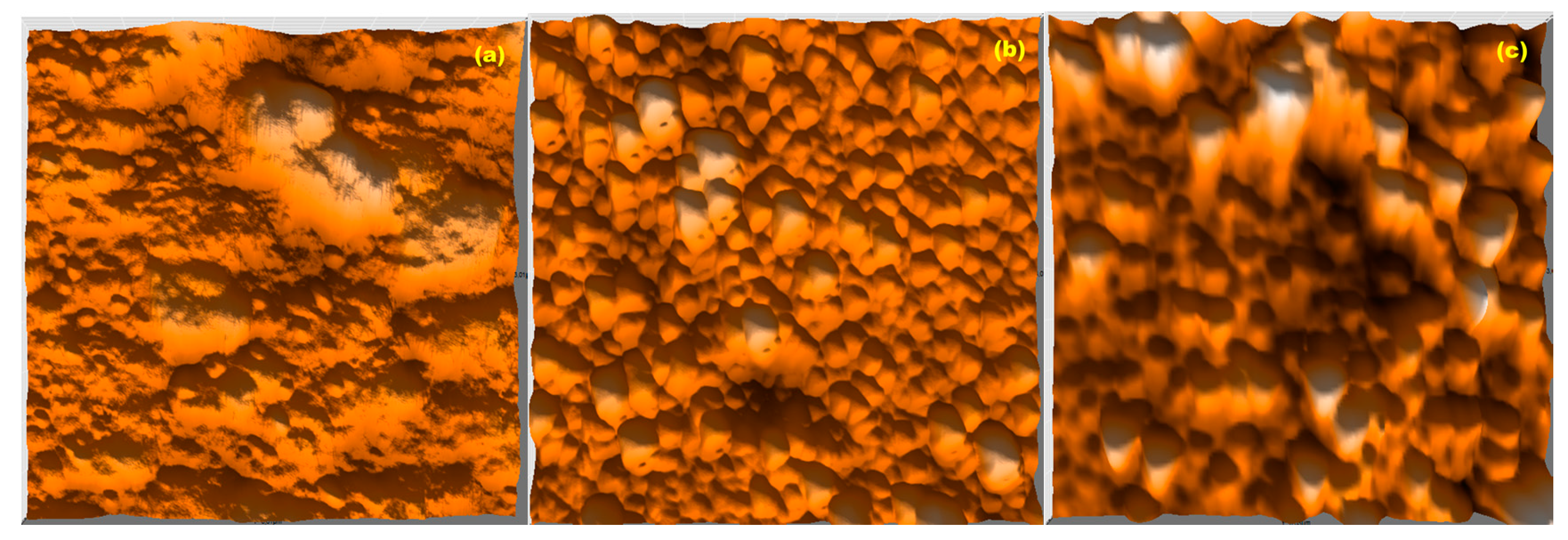 Proceedings 01 00483 g004