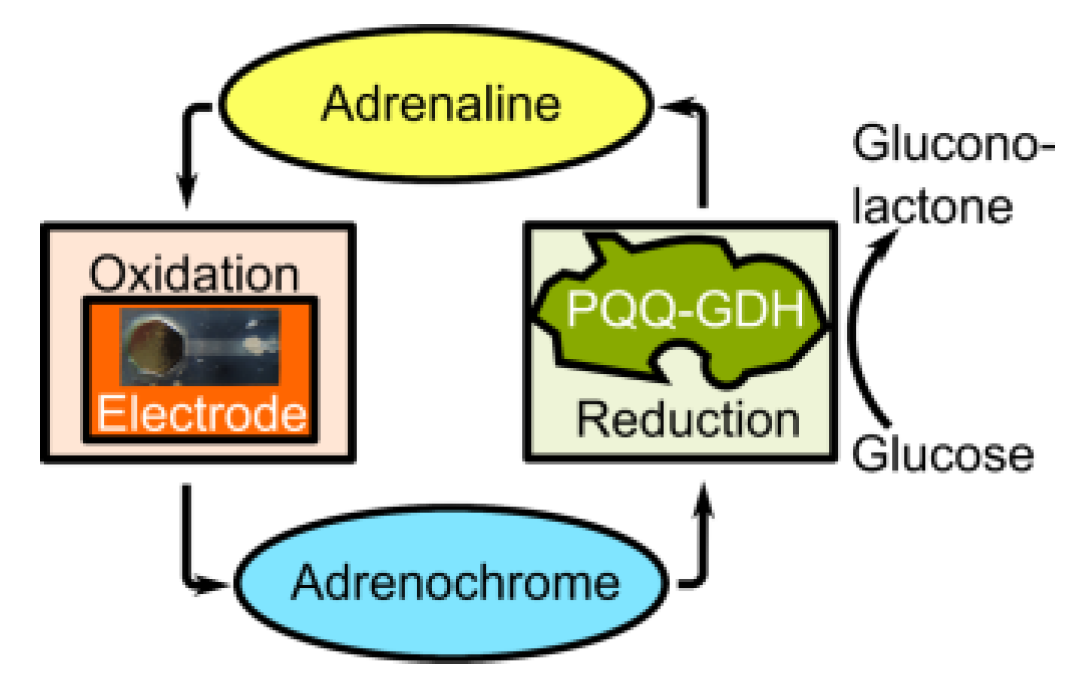 Proceedings 01 00506 g001