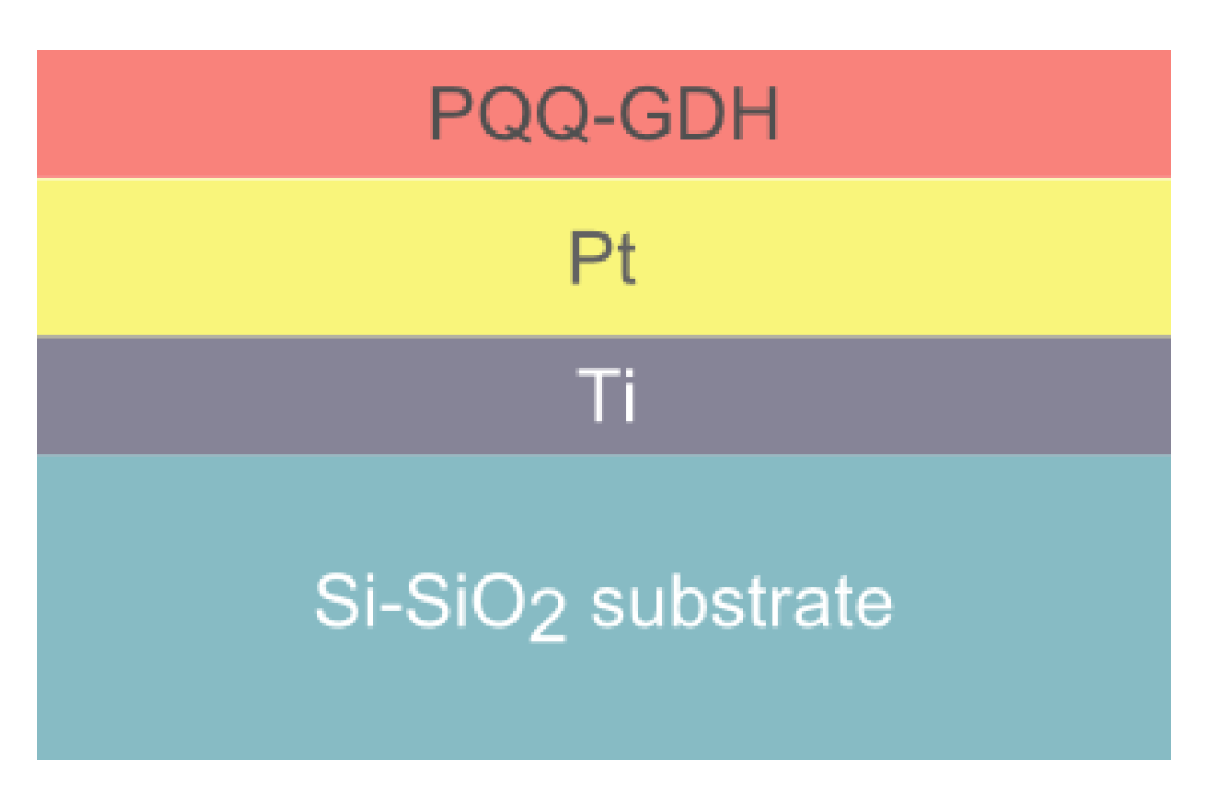 Proceedings 01 00506 g002