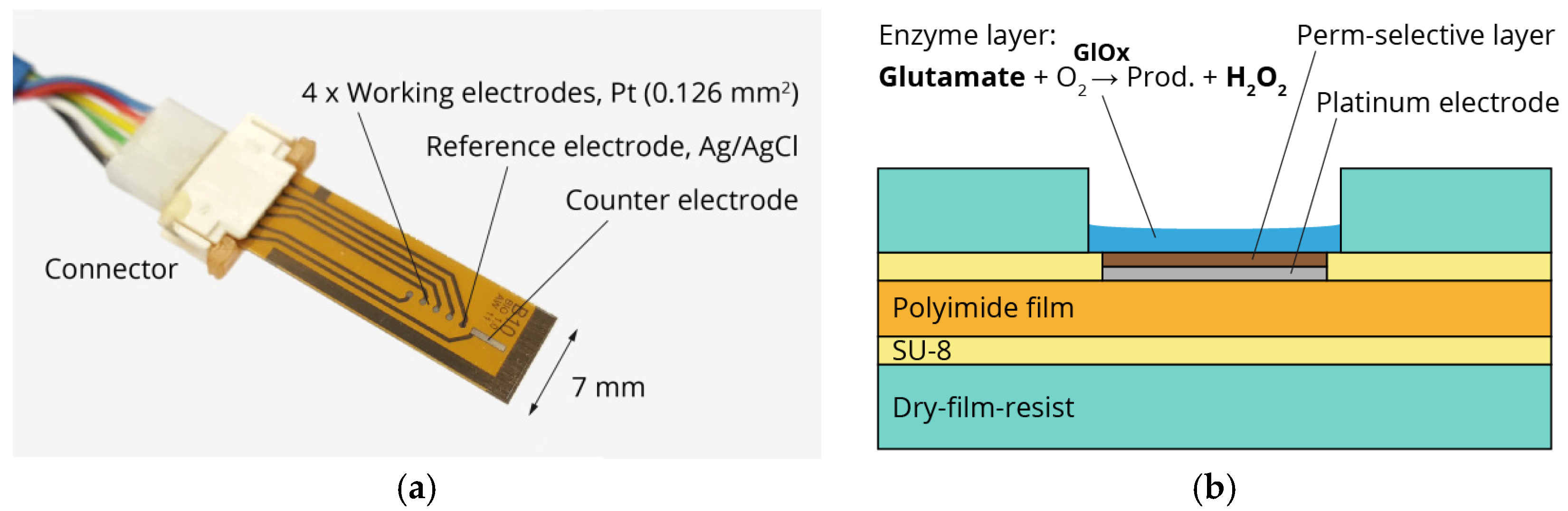 Proceedings 01 00521 g001