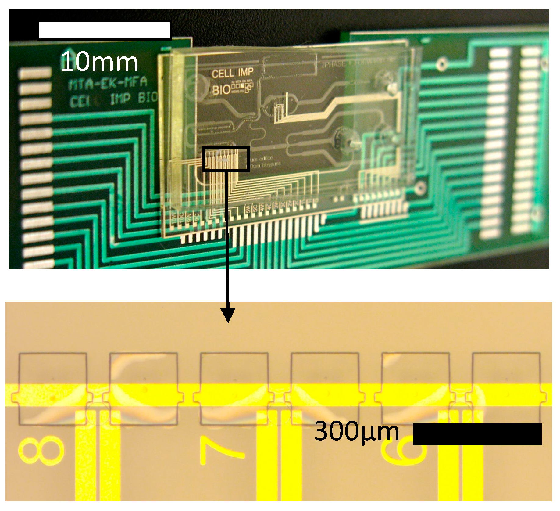 Proceedings 01 00526 g001