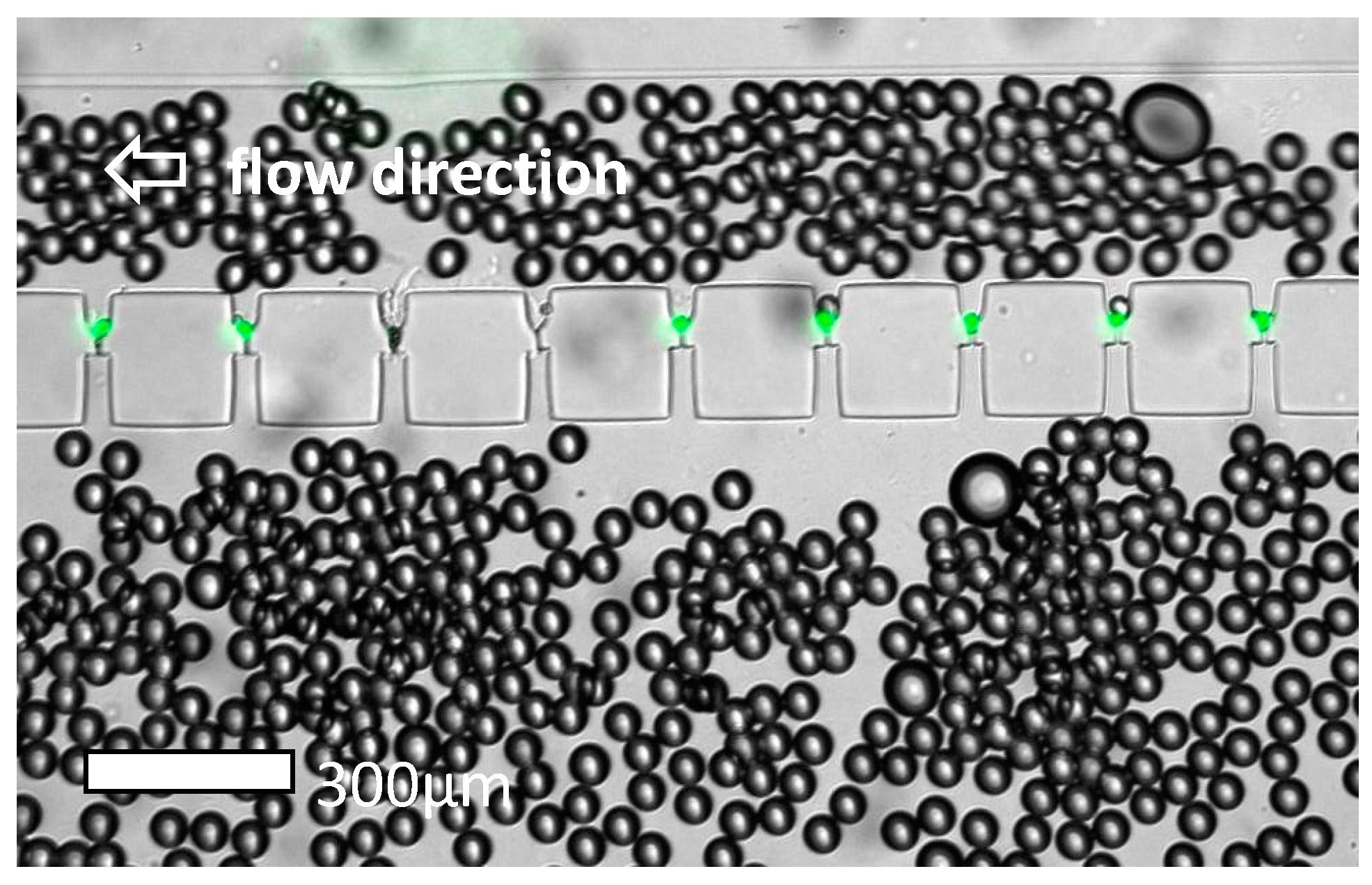 Proceedings 01 00526 g006