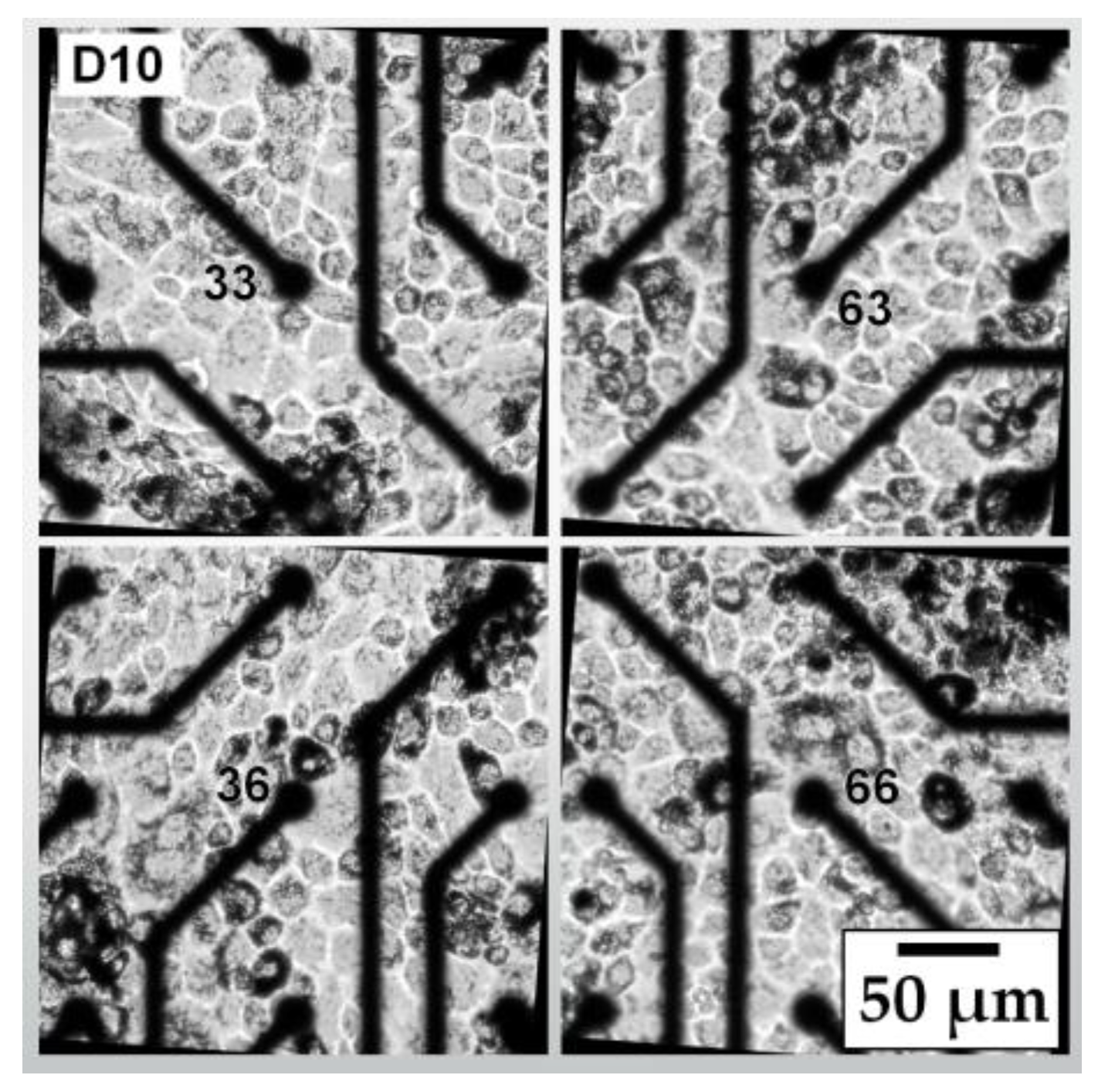 Proceedings 01 00530 g001