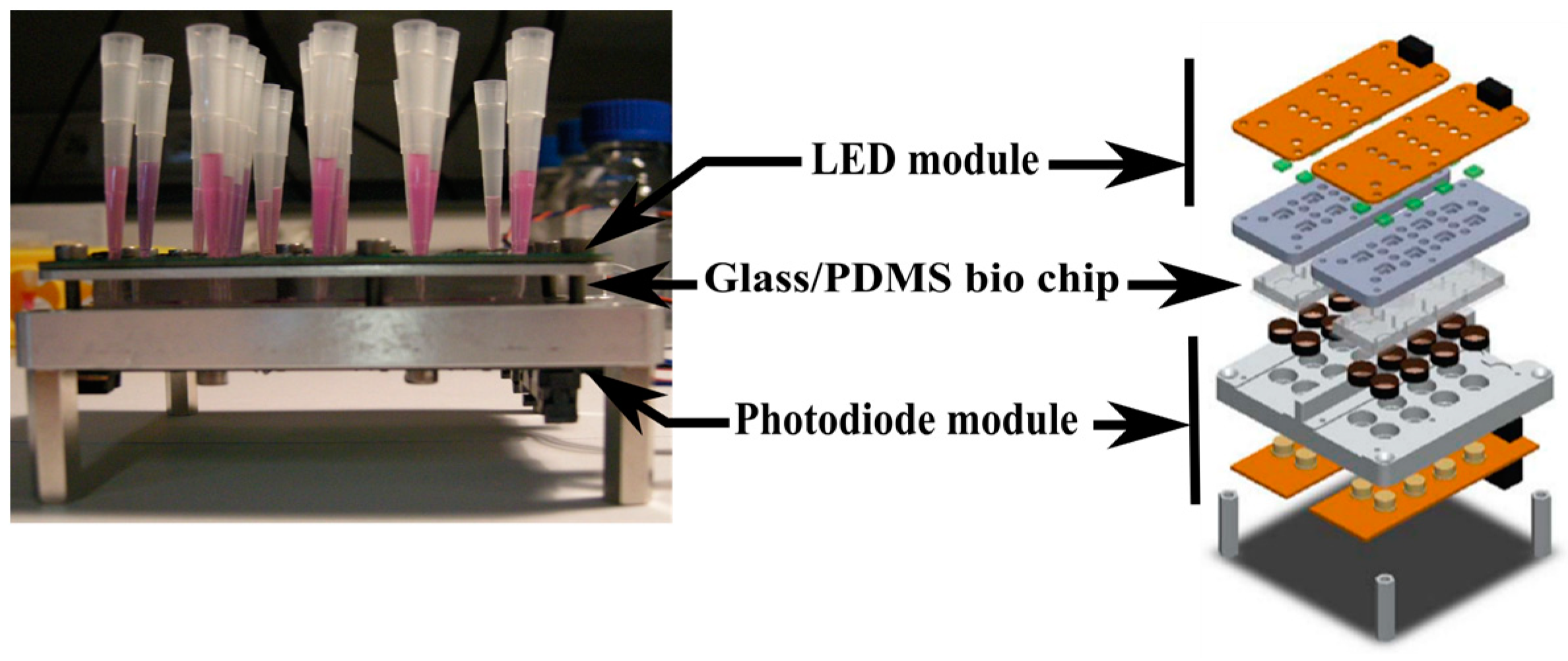 Proceedings 01 00533 g003