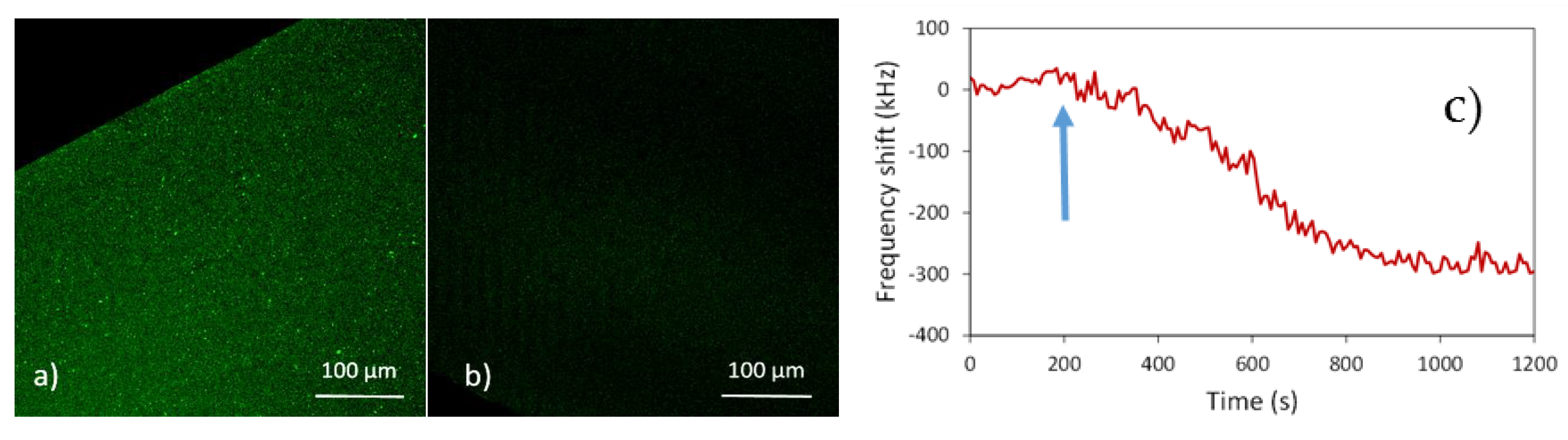 Proceedings 01 00539 g003