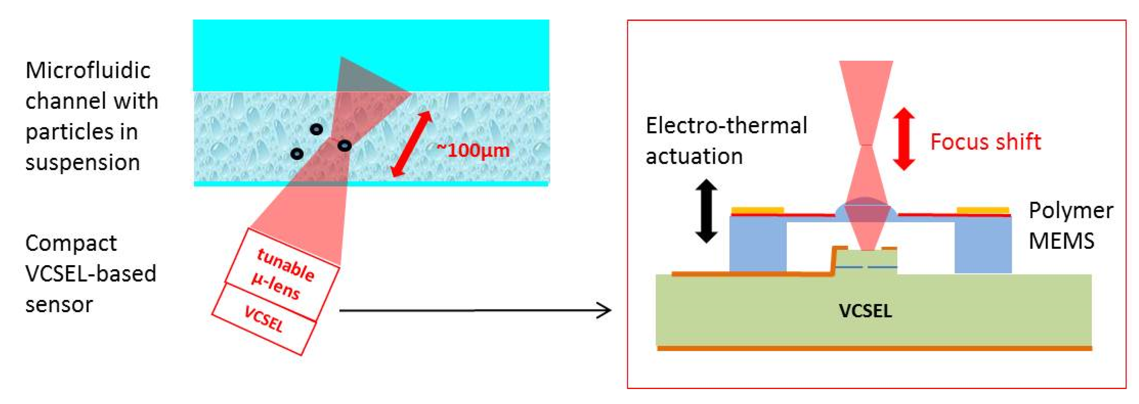 Proceedings 01 00551 g001