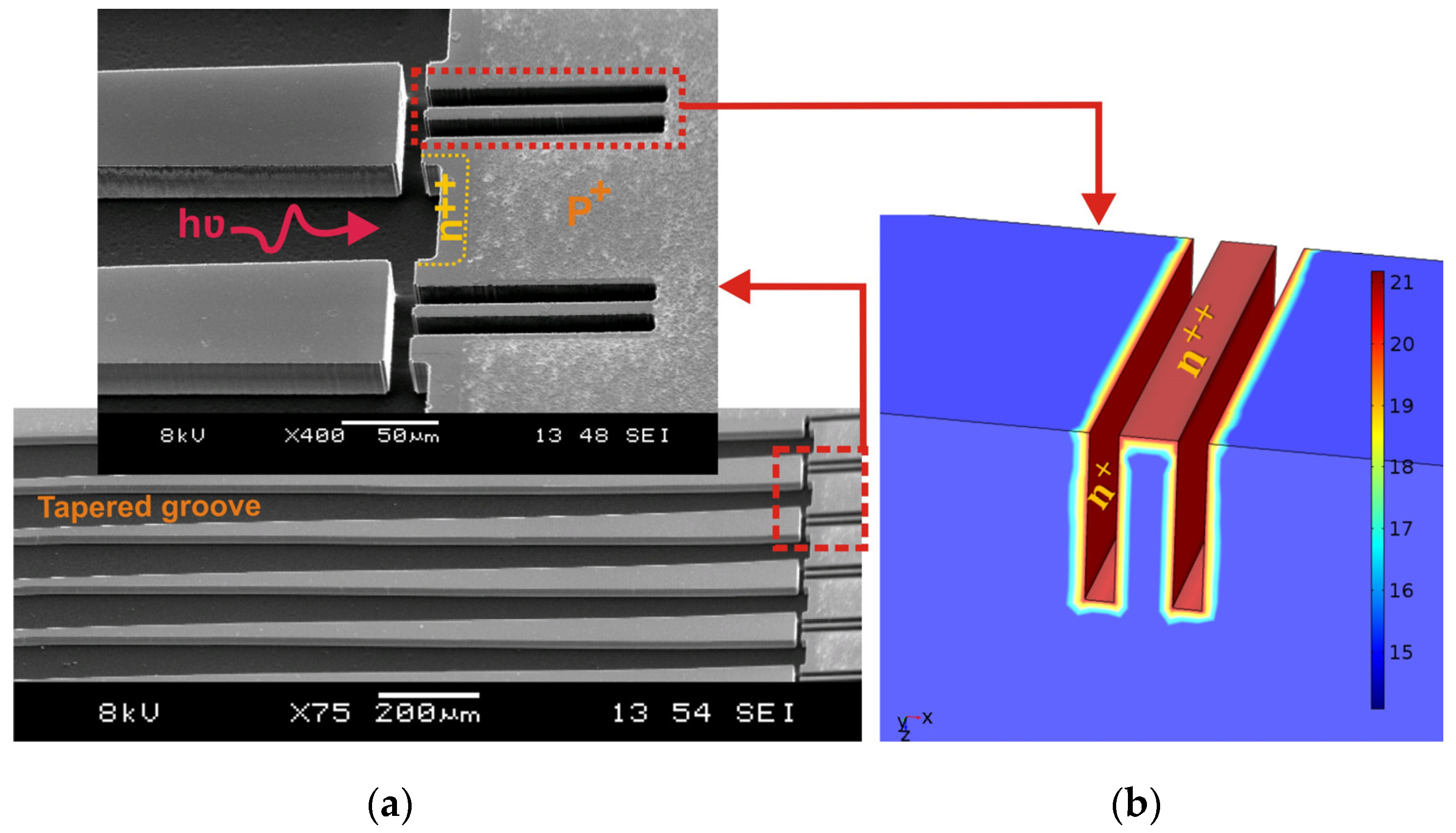 Proceedings 01 00557 g001