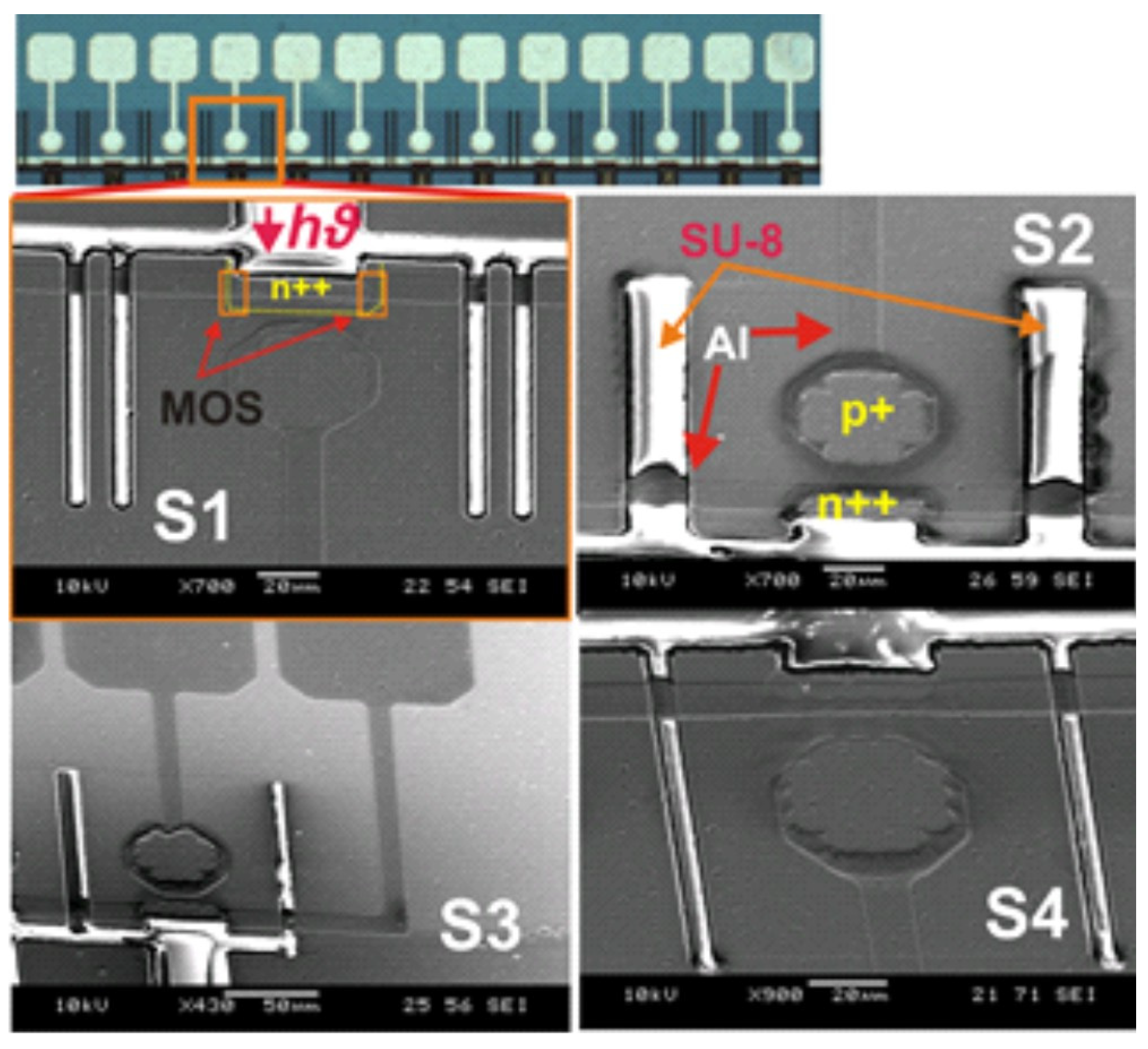 Proceedings 01 00557 g002