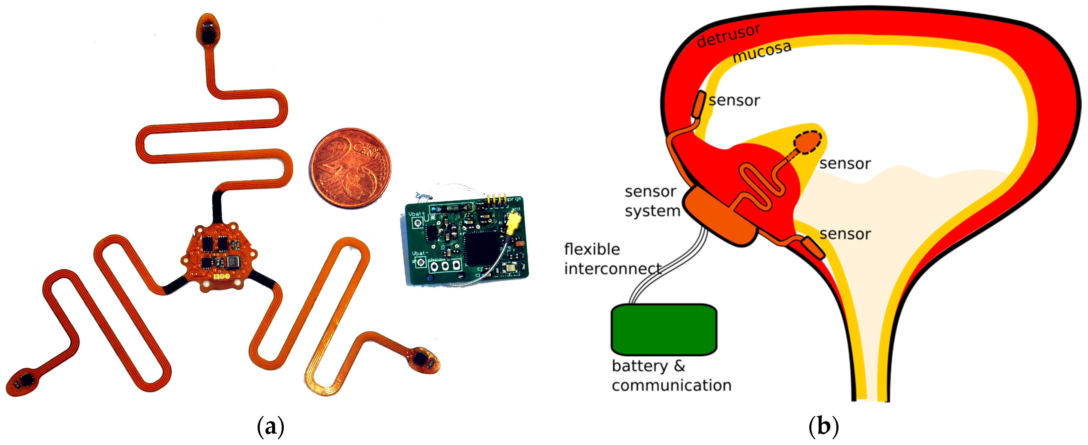 Proceedings 01 00566 g002