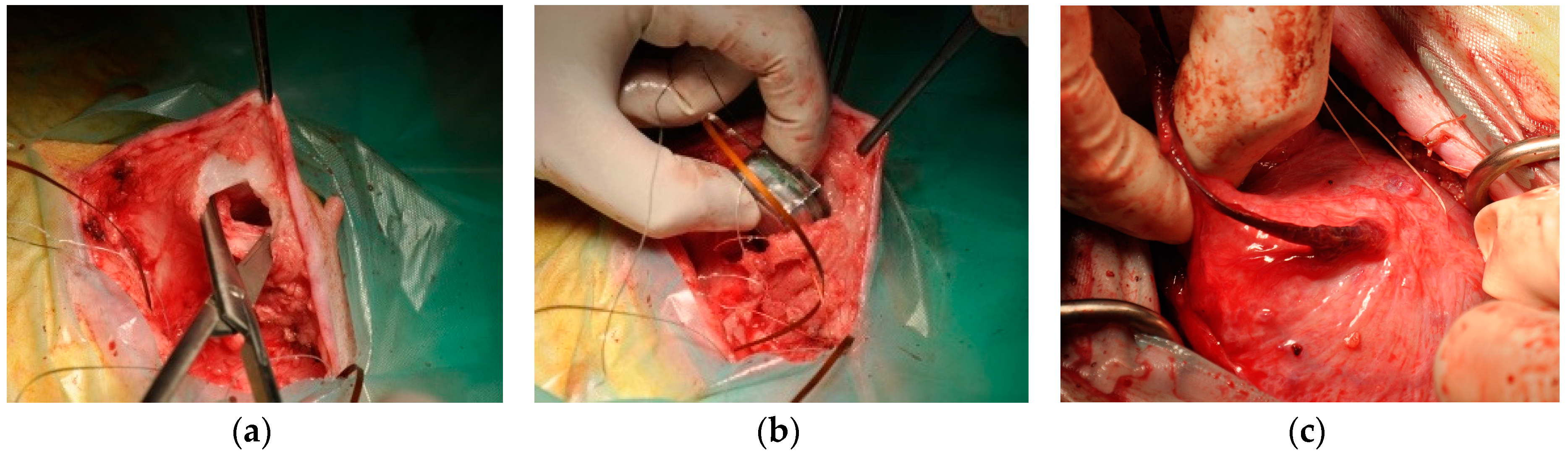 Proceedings 01 00566 g003