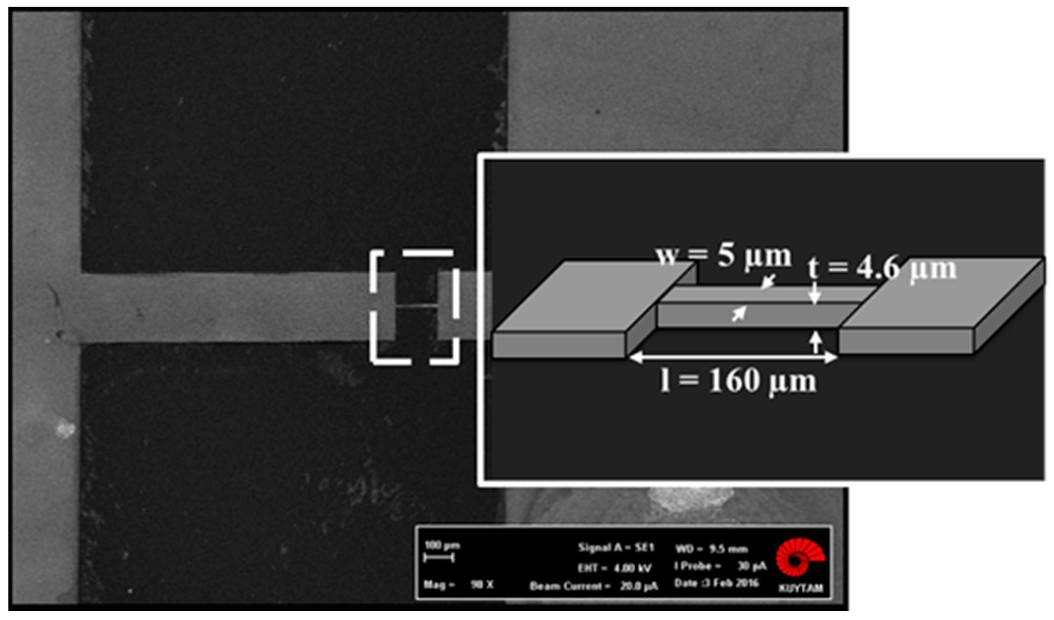 Proceedings 01 00572 g002