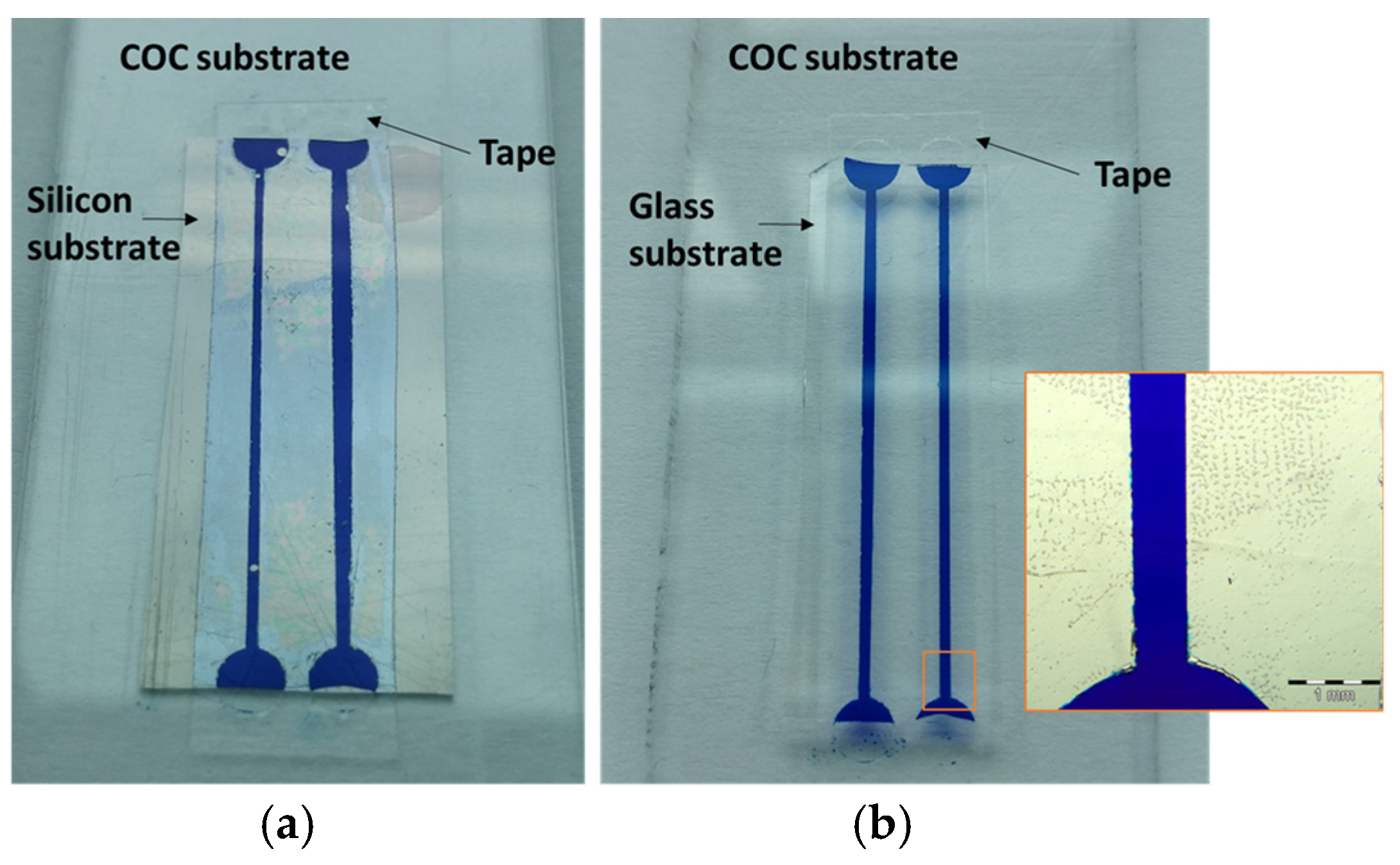 Proceedings 01 00606 g003