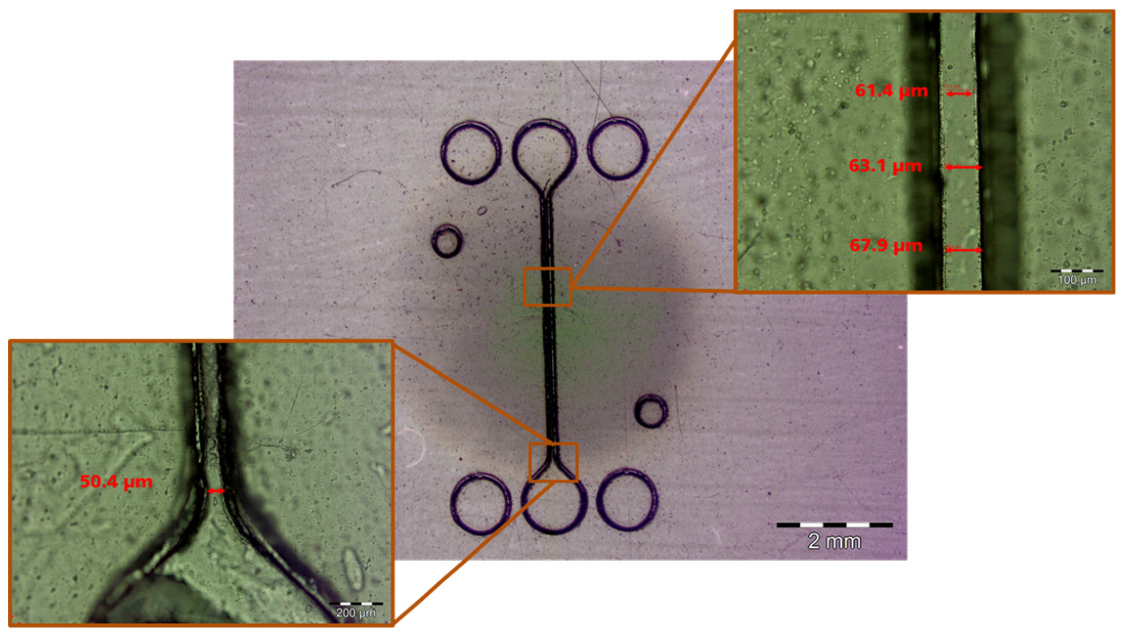 Proceedings 01 00606 g004