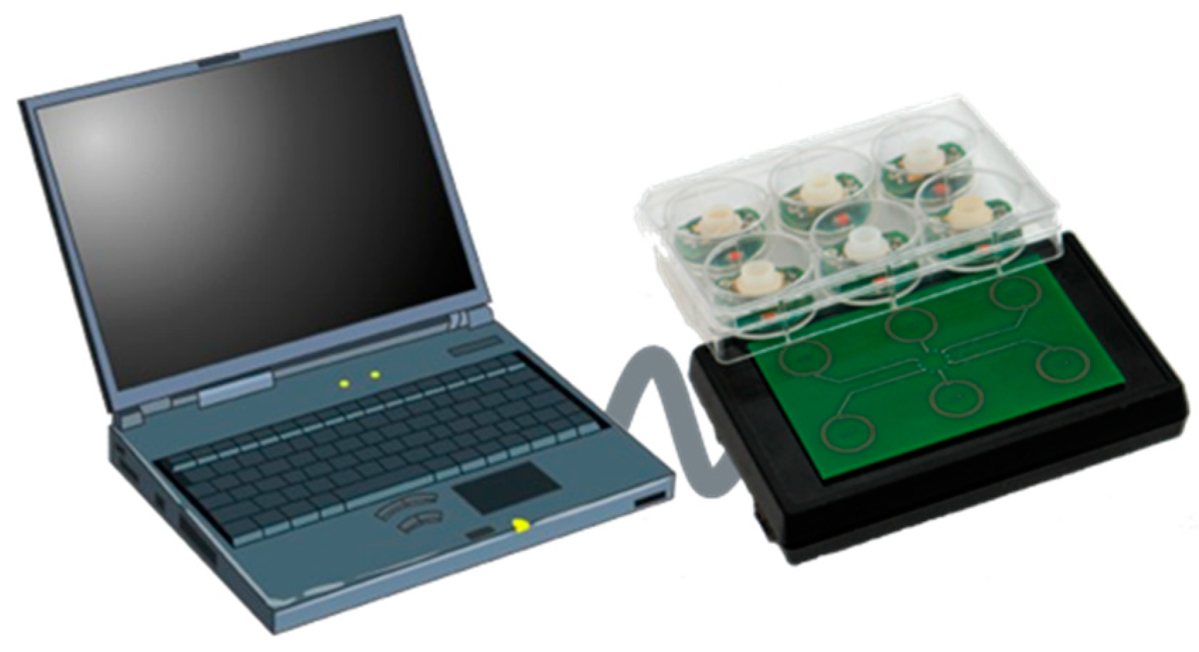 Proceedings 01 00619 g002