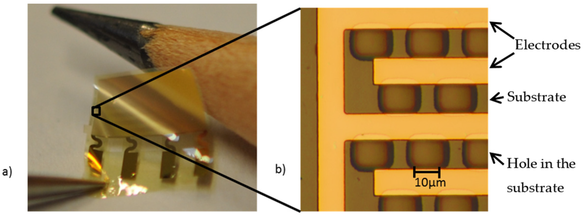 Proceedings 01 00627 g001