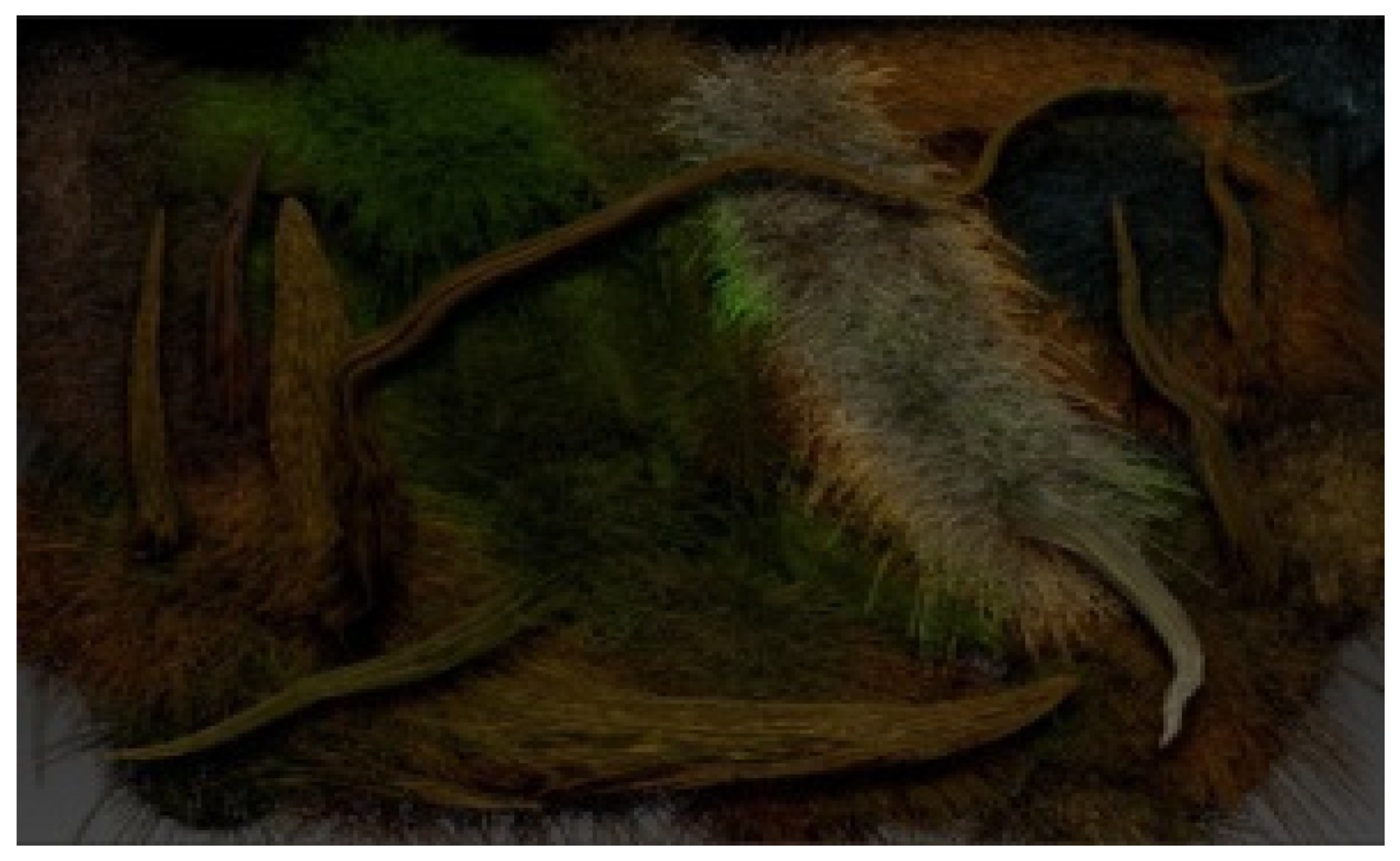 Proceedings 01 00887 g005