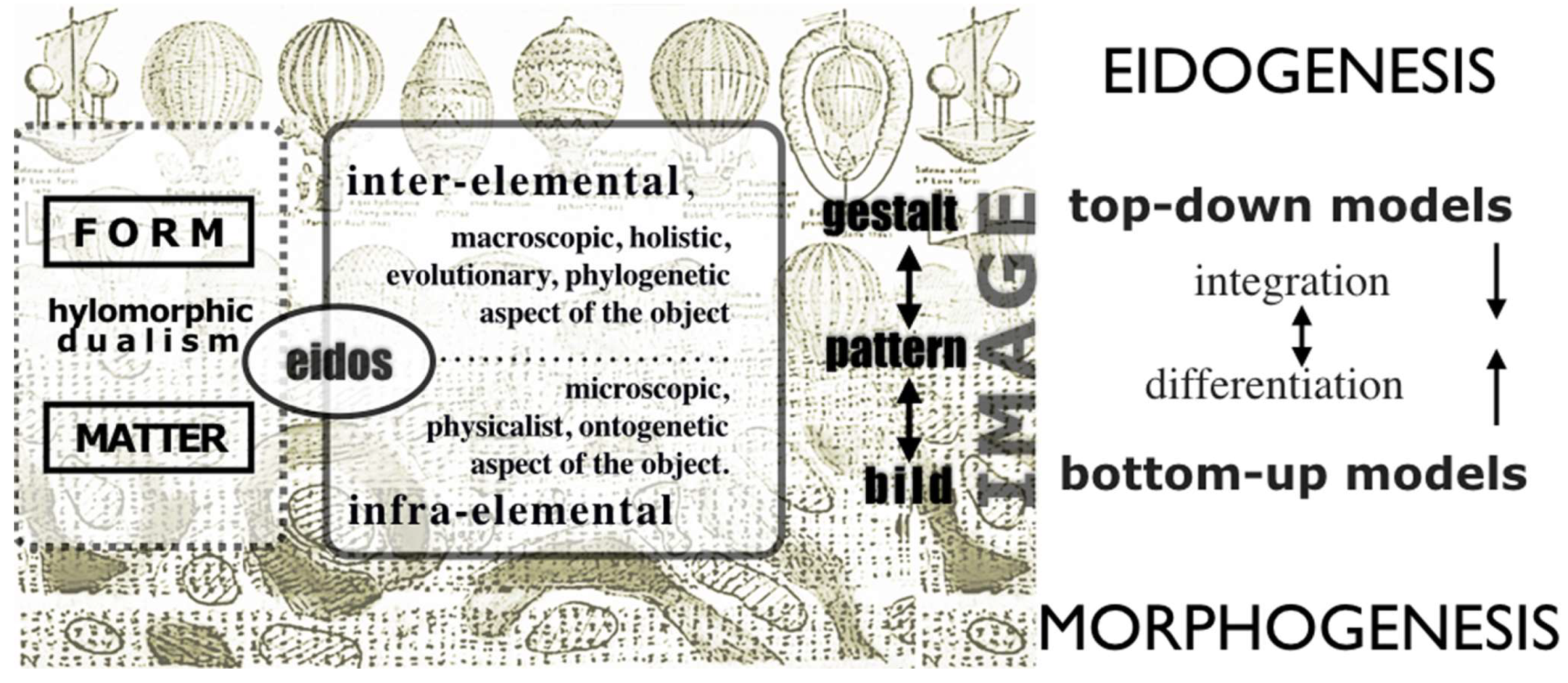 Proceedings 01 00929 g002