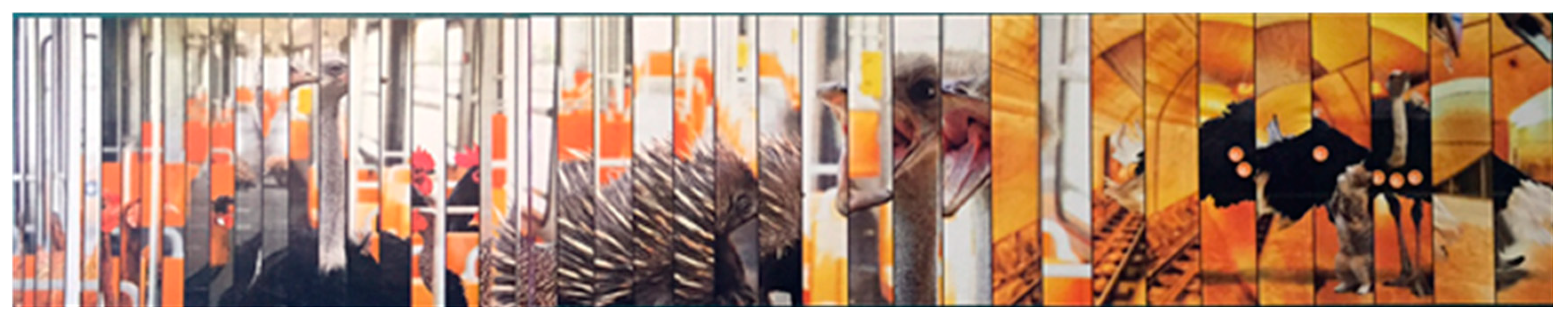 Proceedings 01 00931 g003