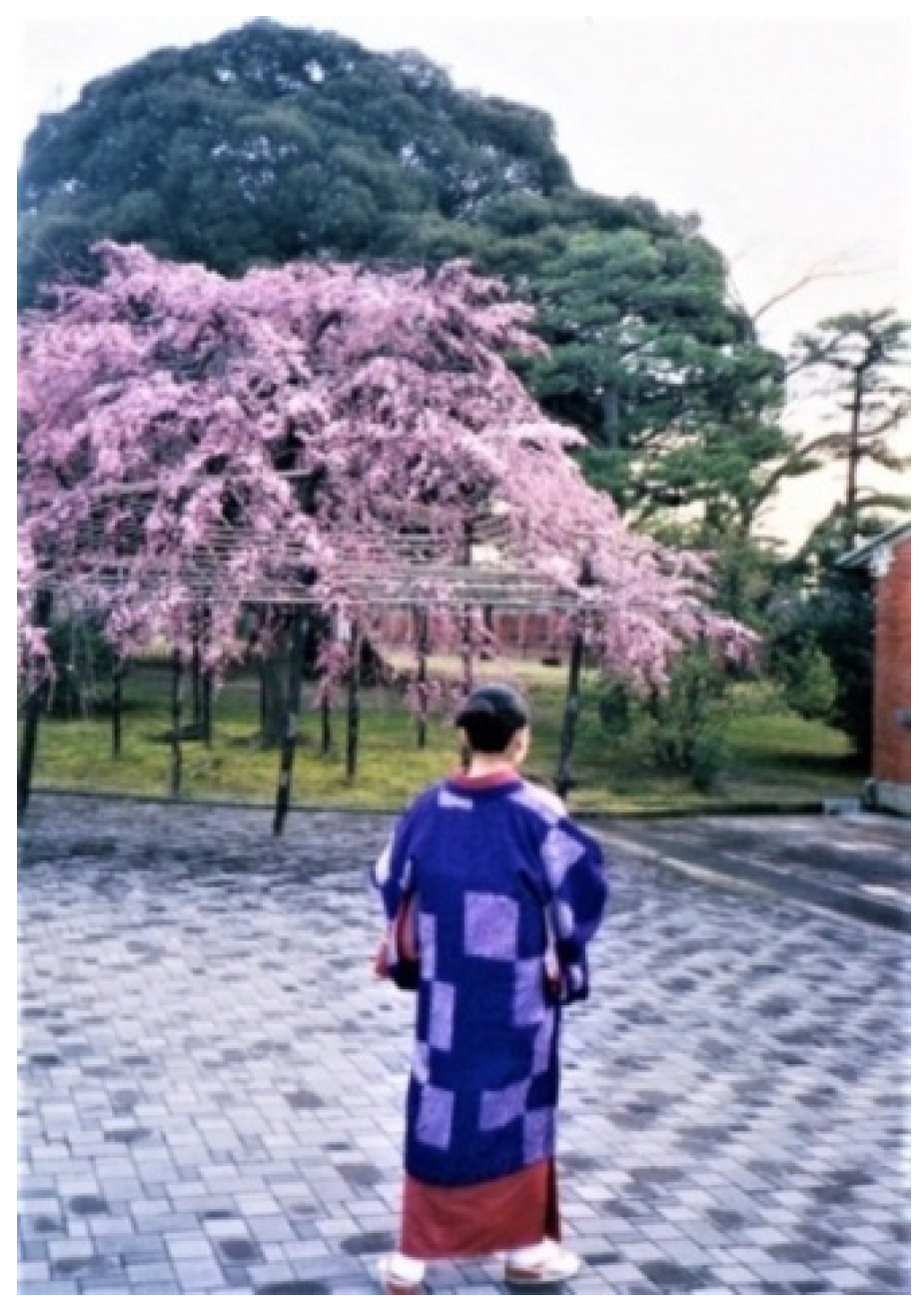 Proceedings 01 01087 g003