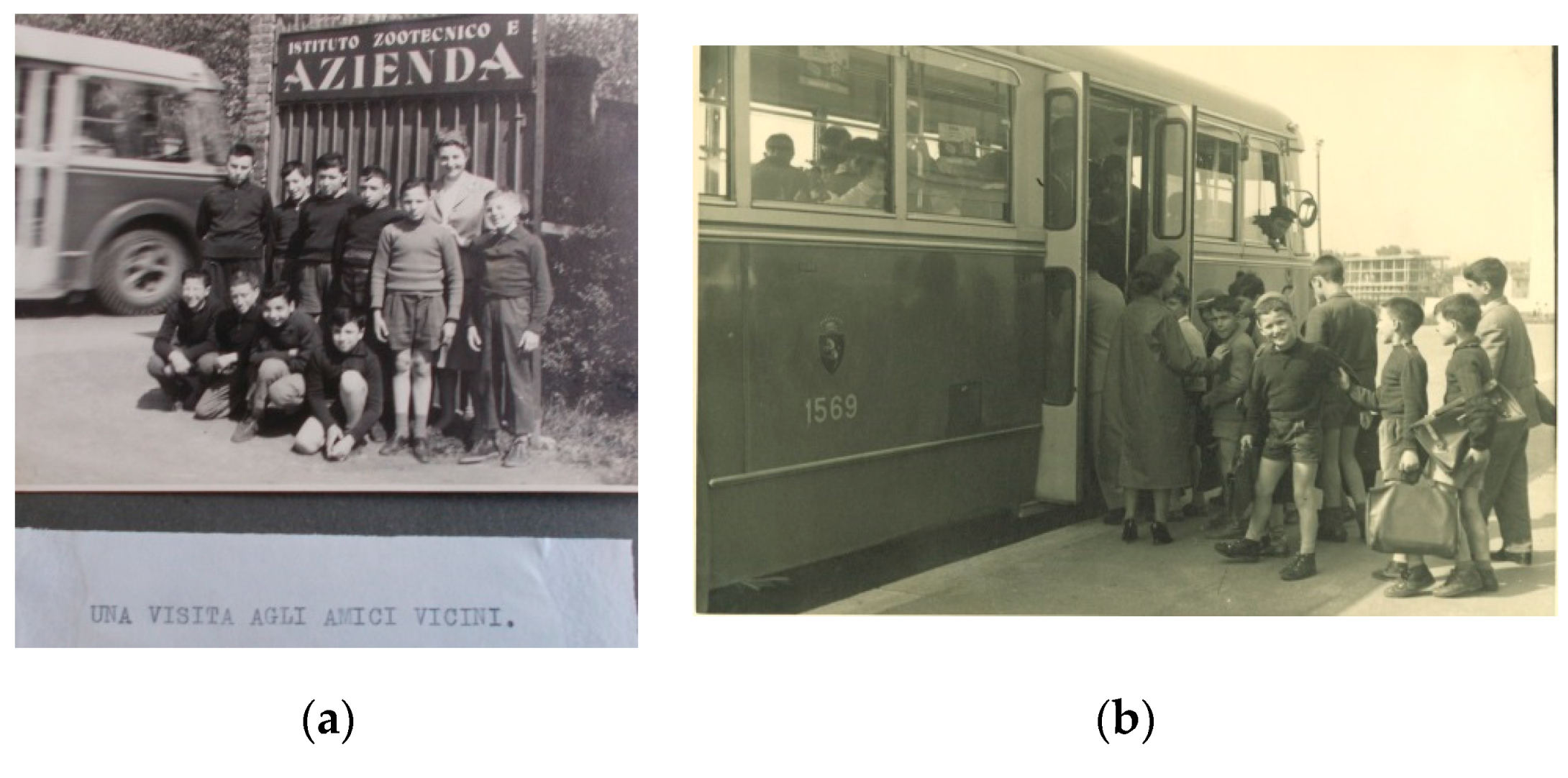 Proceedings 01 01089 g003