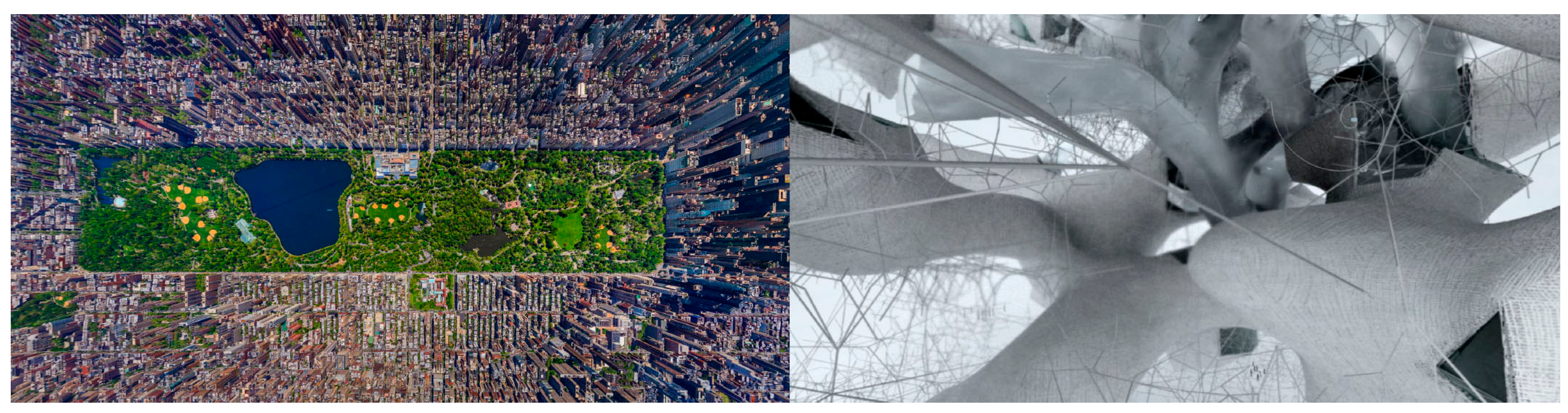 Proceedings 01 01109 g002